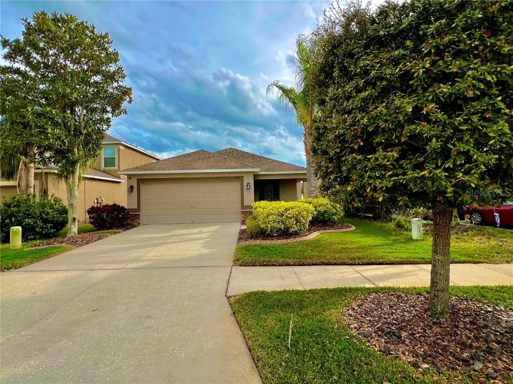 2317 Richwood Pike Drive Ruskin FL 33570 T3510039 image1