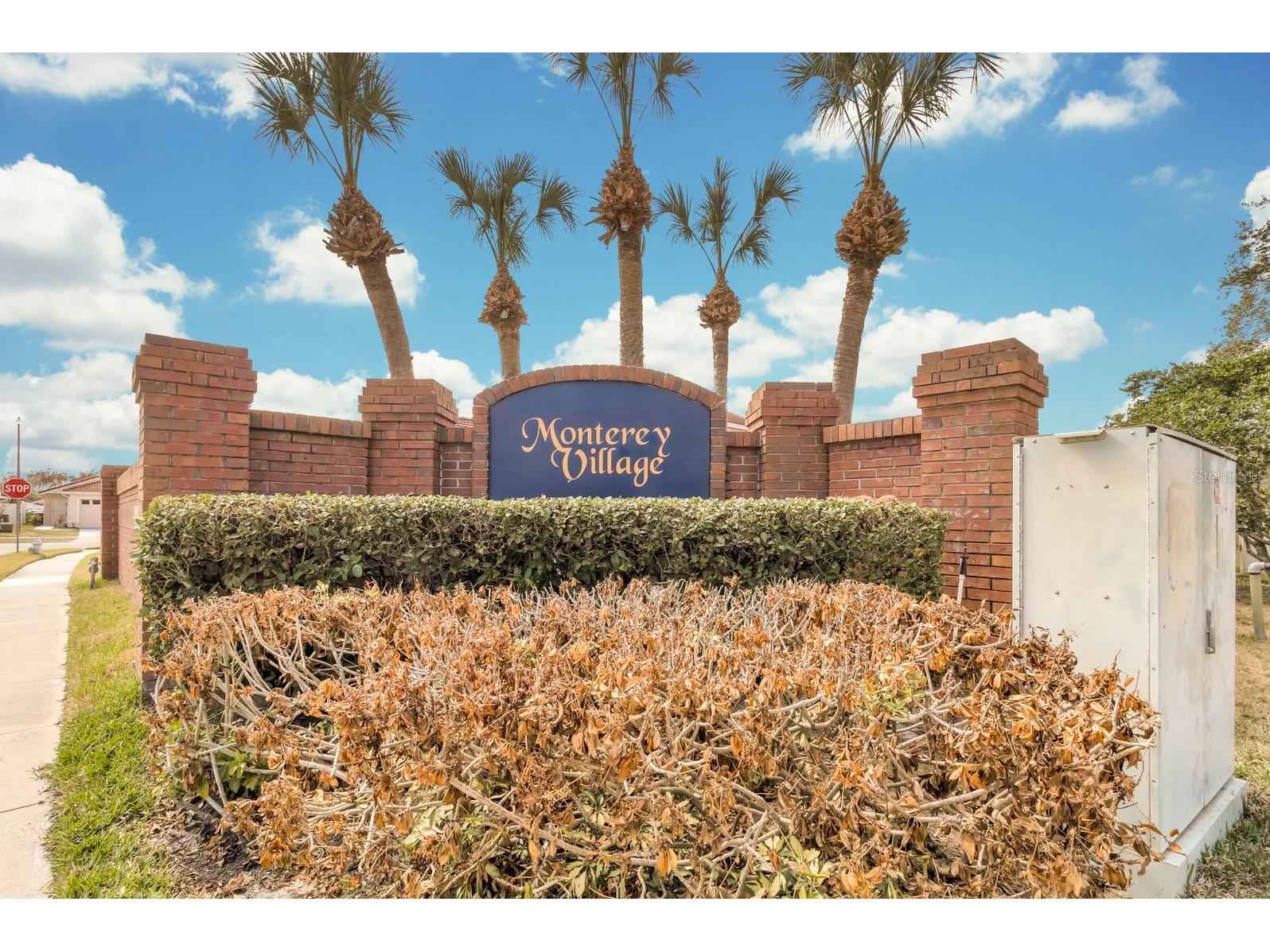 2317 Santa Lucia Street Kissimmee FL 34743 S5144244 image2