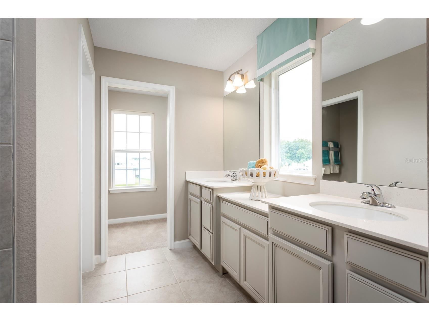 2317 Scenic Park Loop Wimauma FL 33598 W7881960 image14