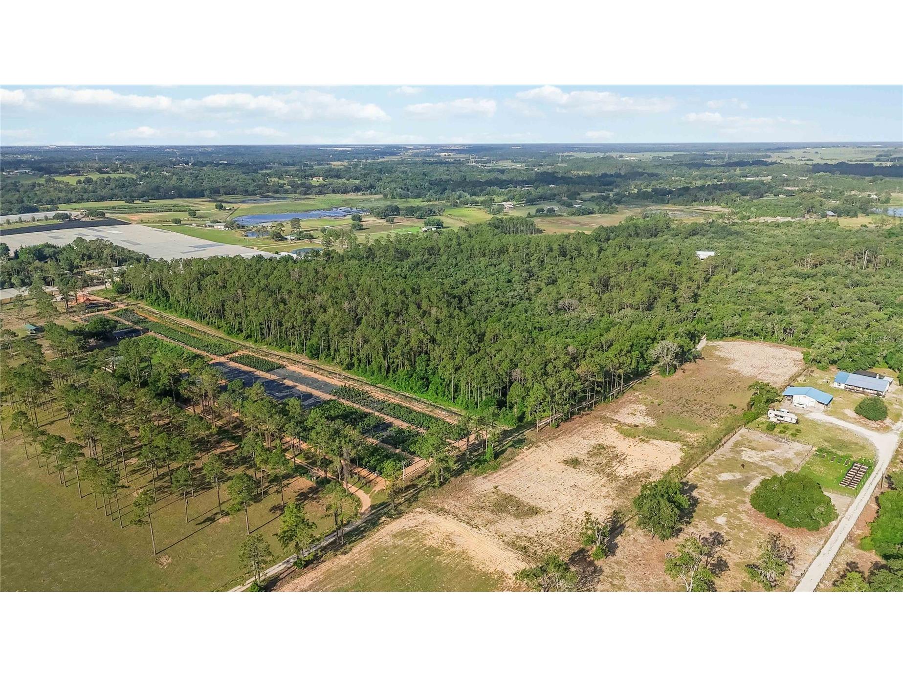 23175 N Buckhill Road Howey In The Hills FL 34737 O6408786 image11
