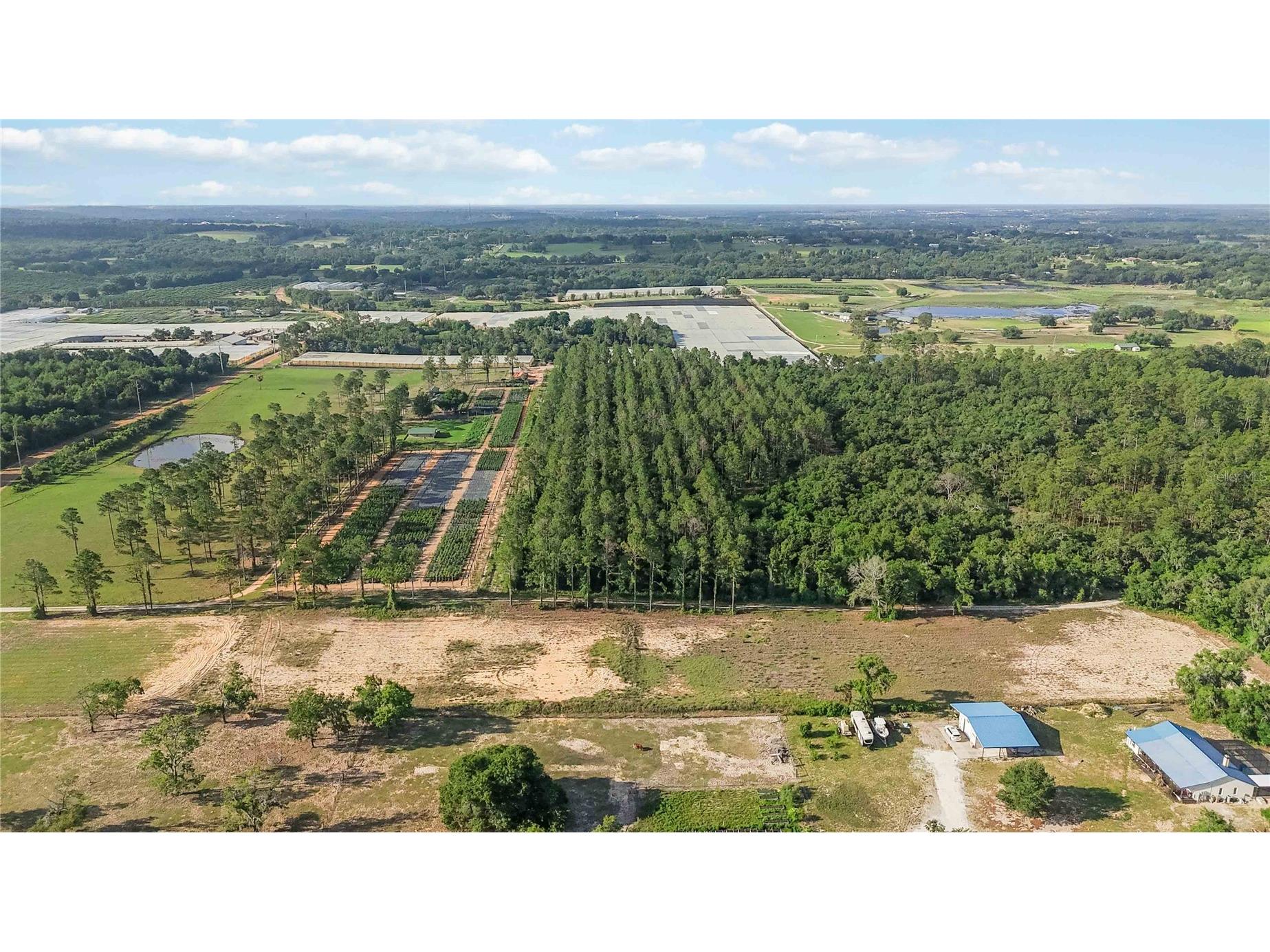 23175 N Buckhill Road Howey In The Hills FL 34737 O6408786 image12