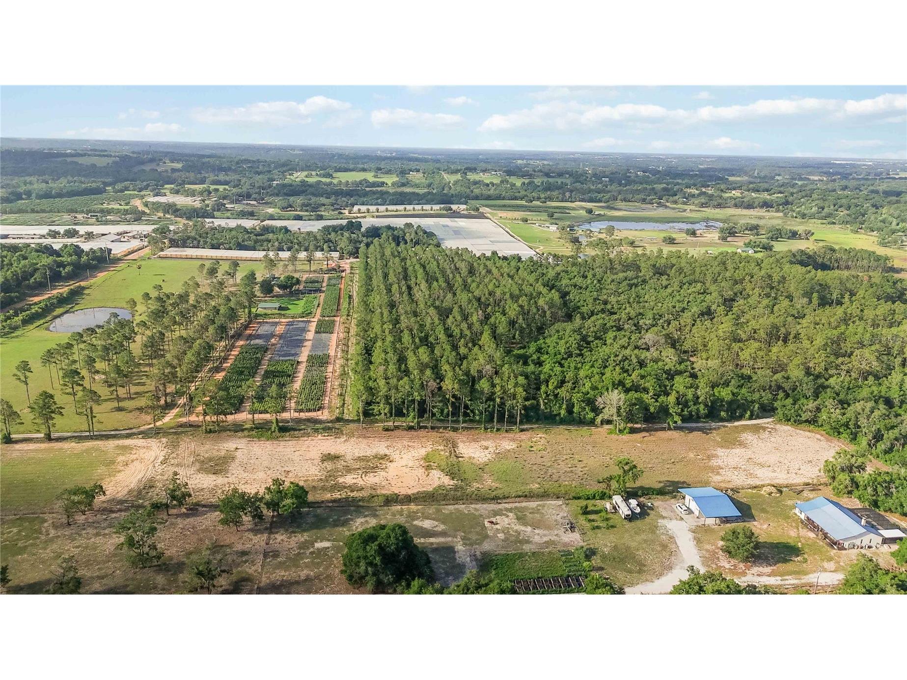 23175 N Buckhill Road Howey In The Hills FL 34737 O6408786 image14