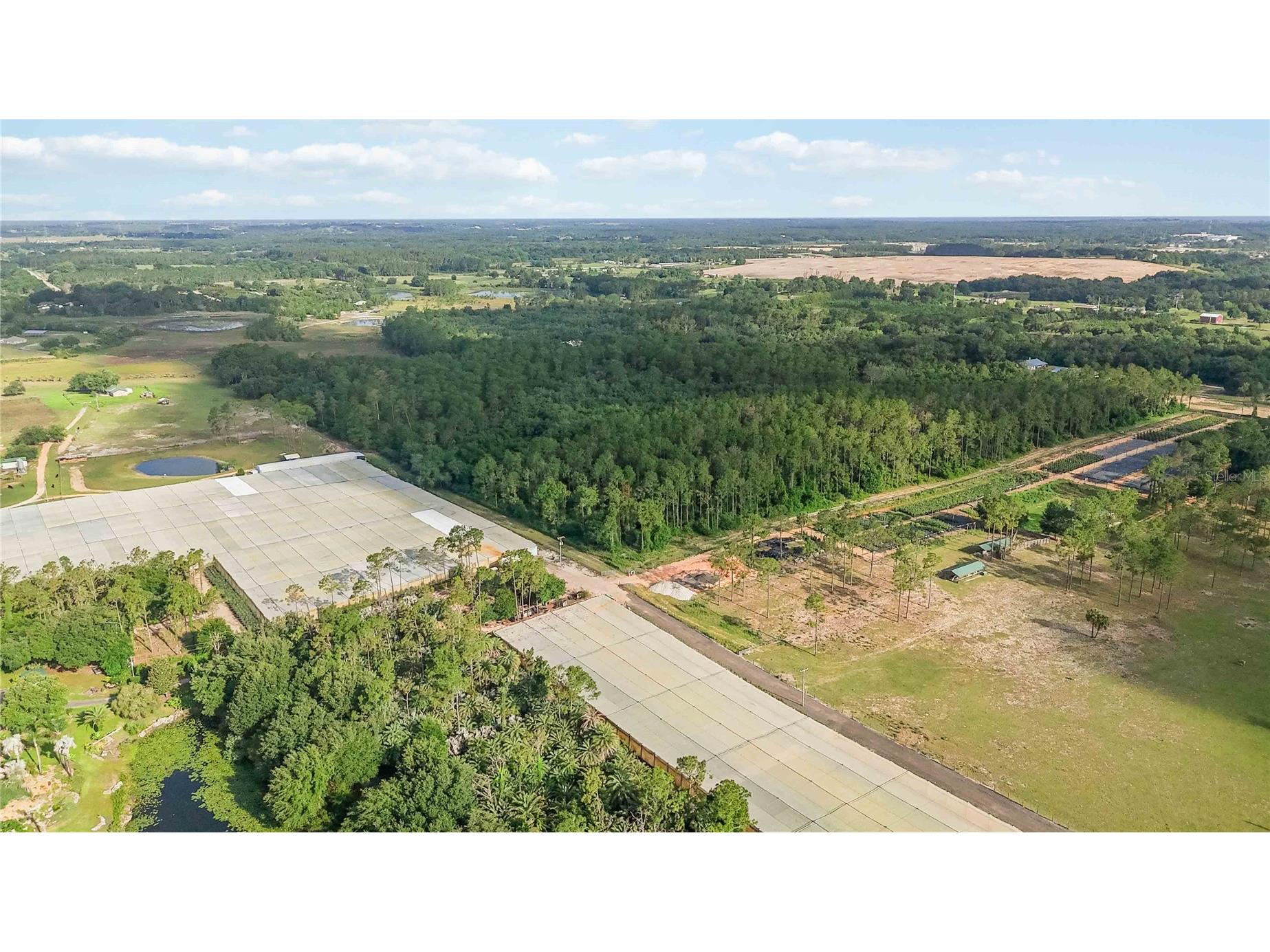 23175 N Buckhill Road Howey In The Hills FL 34737 O6408786 image17
