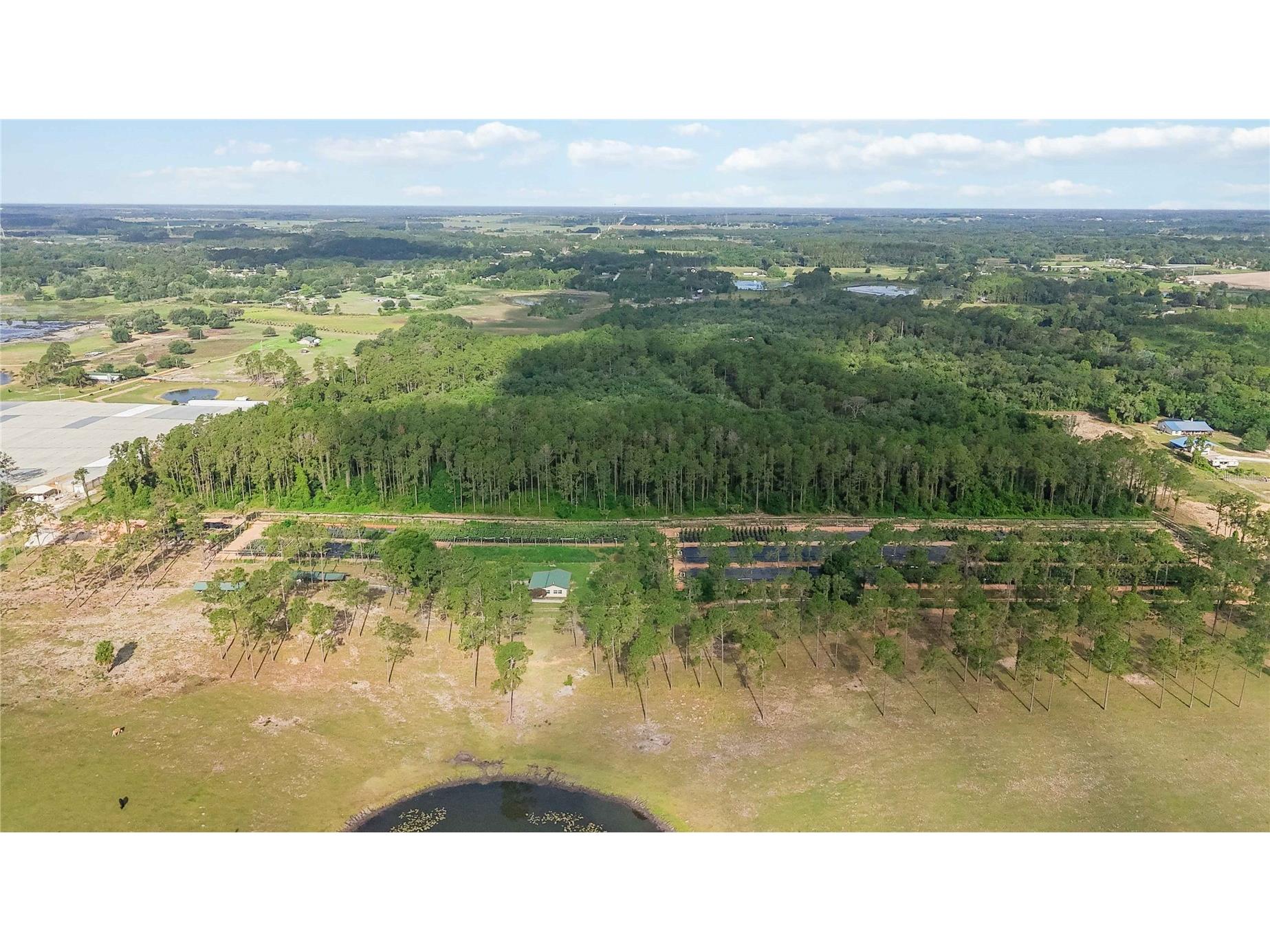 23175 N Buckhill Road Howey In The Hills FL 34737 O6408786 image18