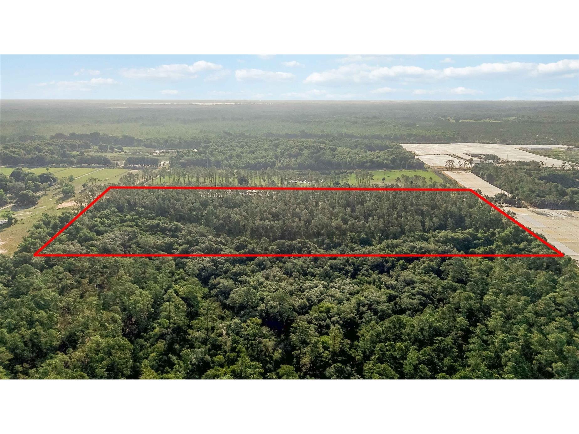23175 N Buckhill Road Howey In The Hills FL 34737 O6408786 image2