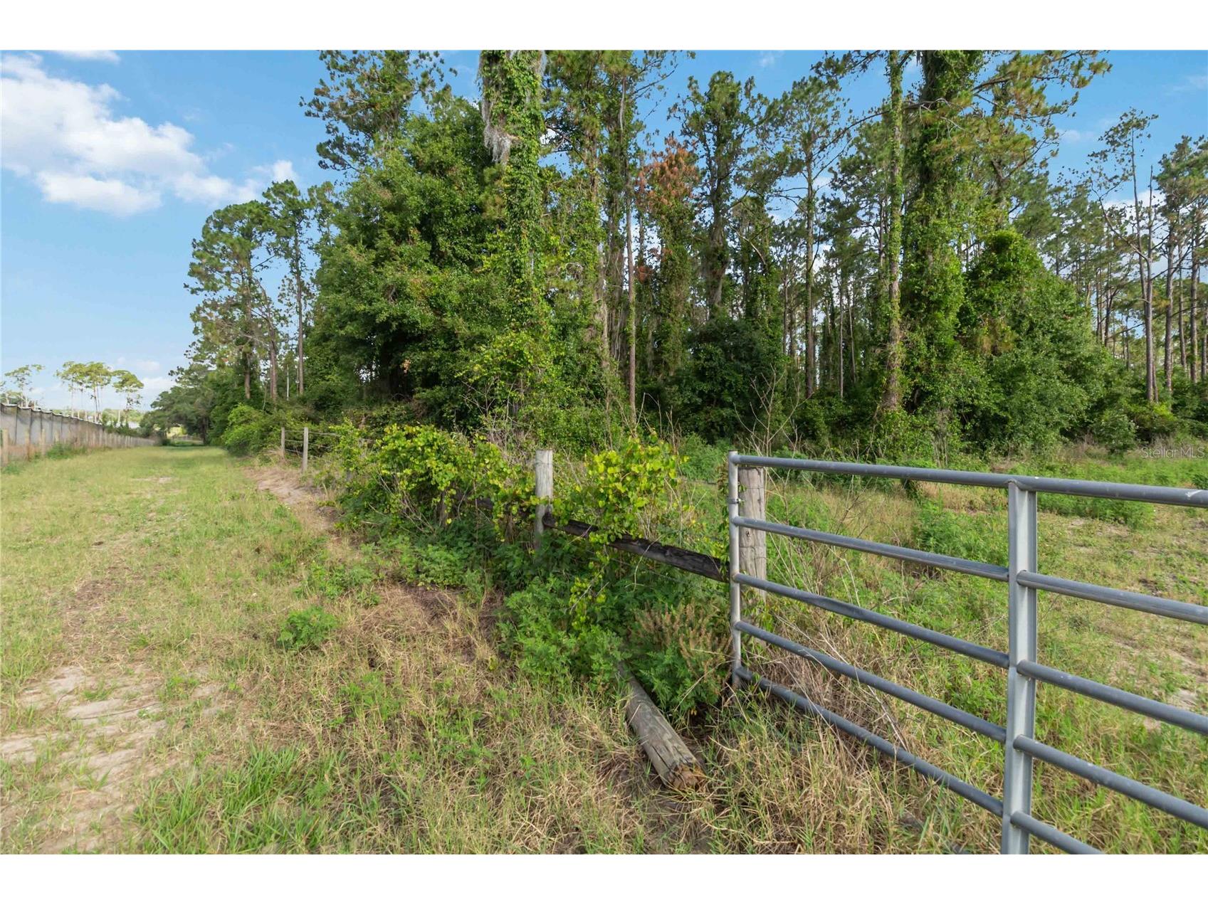 23175 N Buckhill Road Howey In The Hills FL 34737 O6408786 image3