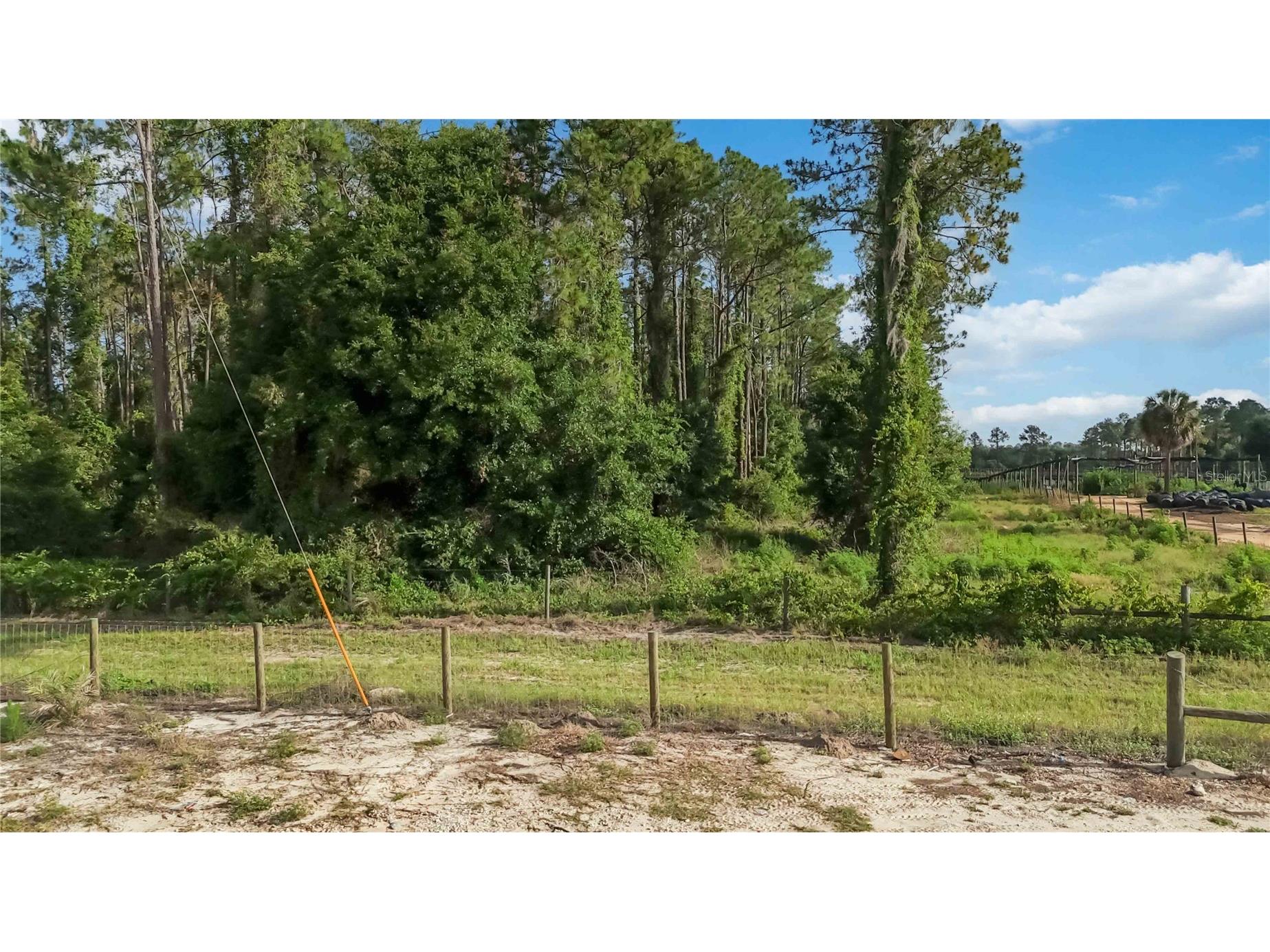 23175 N Buckhill Road Howey In The Hills FL 34737 O6408786 image4