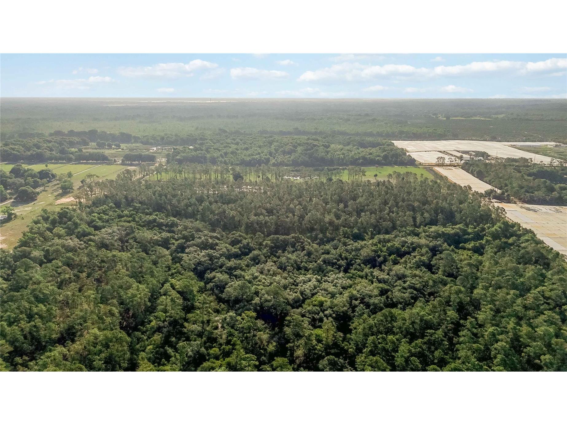 23175 N Buckhill Road Howey In The Hills FL 34737 O6408786 image8