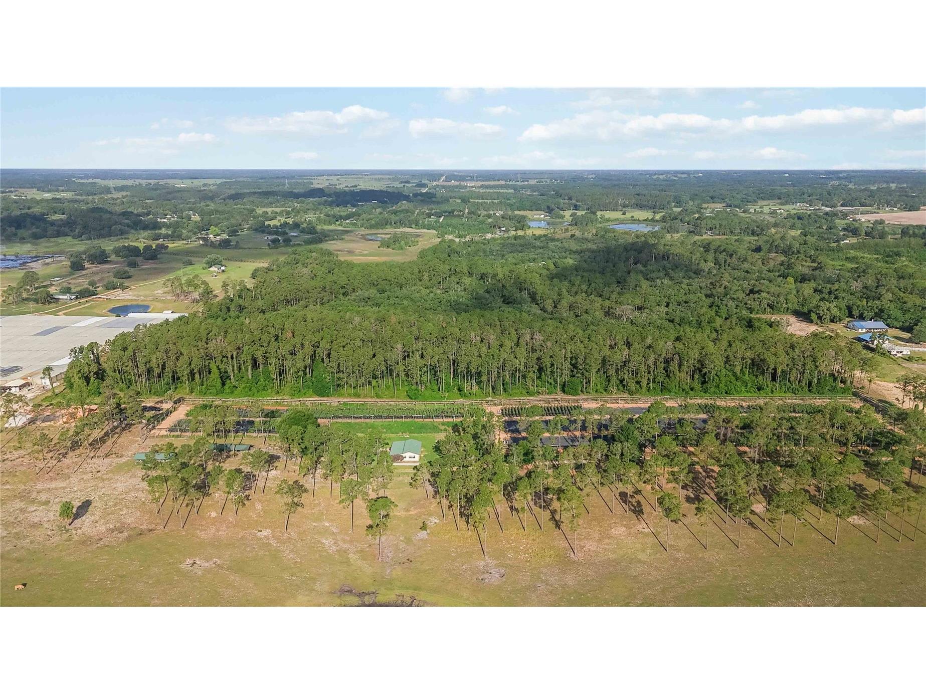 23175 N Buckhill Road Howey In The Hills FL 34737 O6408786 image9