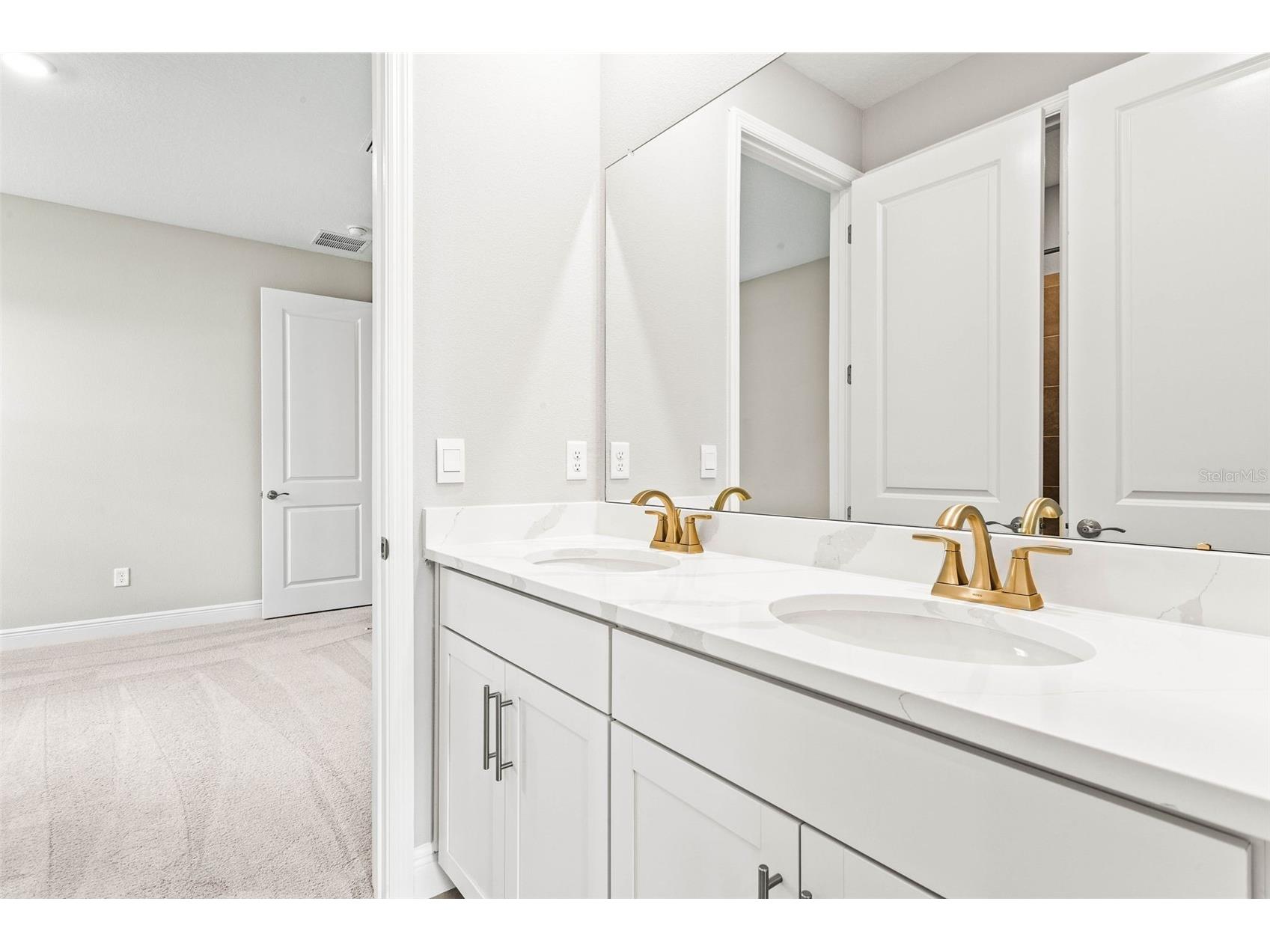 23176 Pachino Way Lutz FL 33549 TB8519667 image16