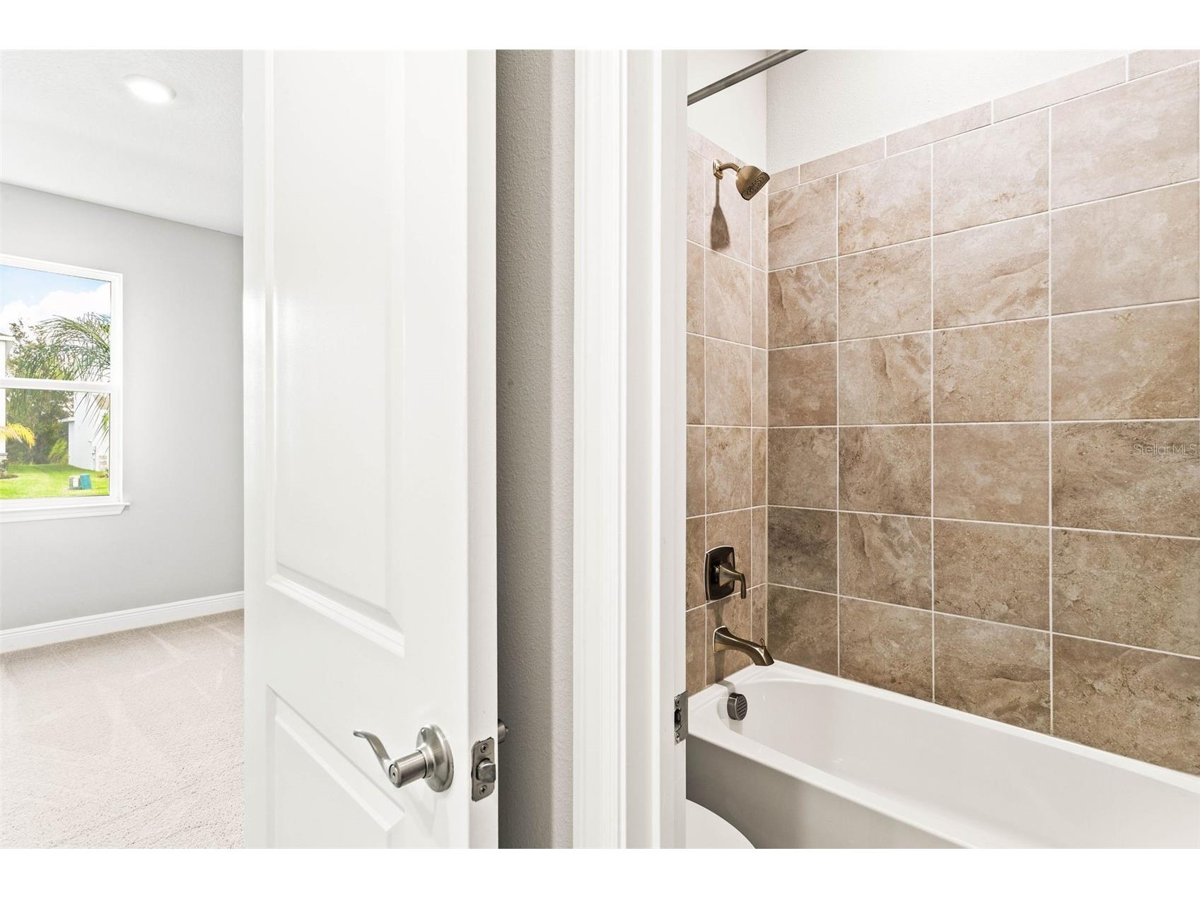 23176 Pachino Way Lutz FL 33549 TB8519667 image17