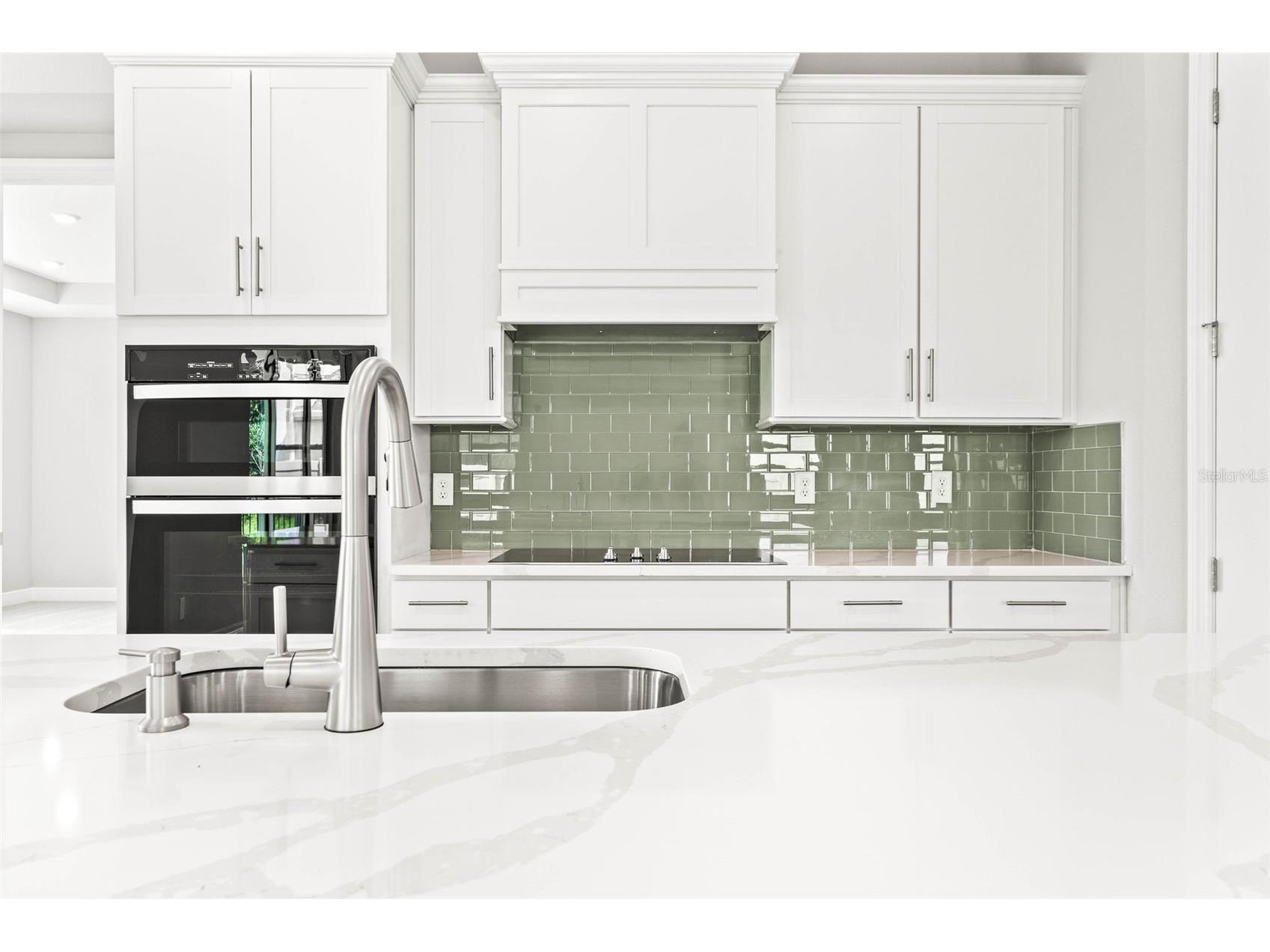 23176 Pachino Way Lutz FL 33549 TB8519667 image7