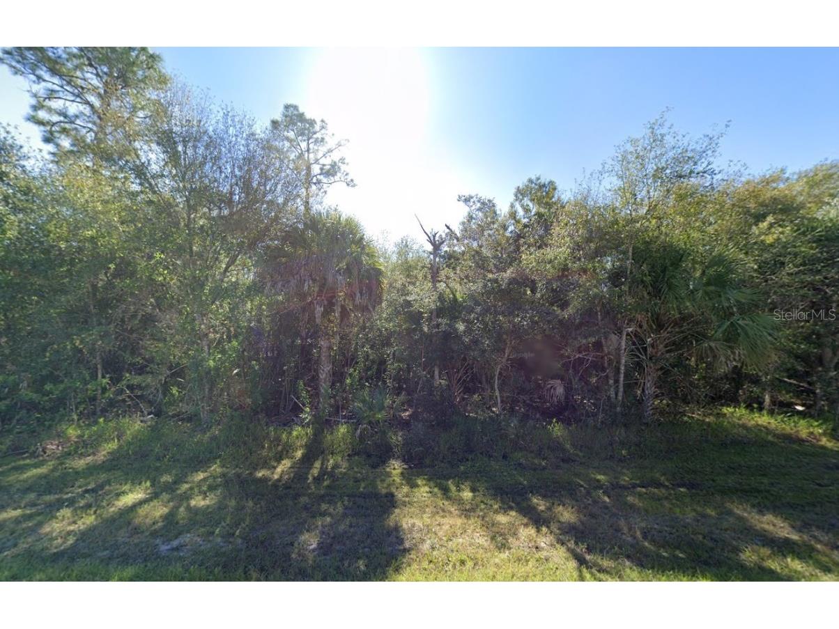 23177 Troy Avenue Port Charlotte FL 33980 C7503583 image3