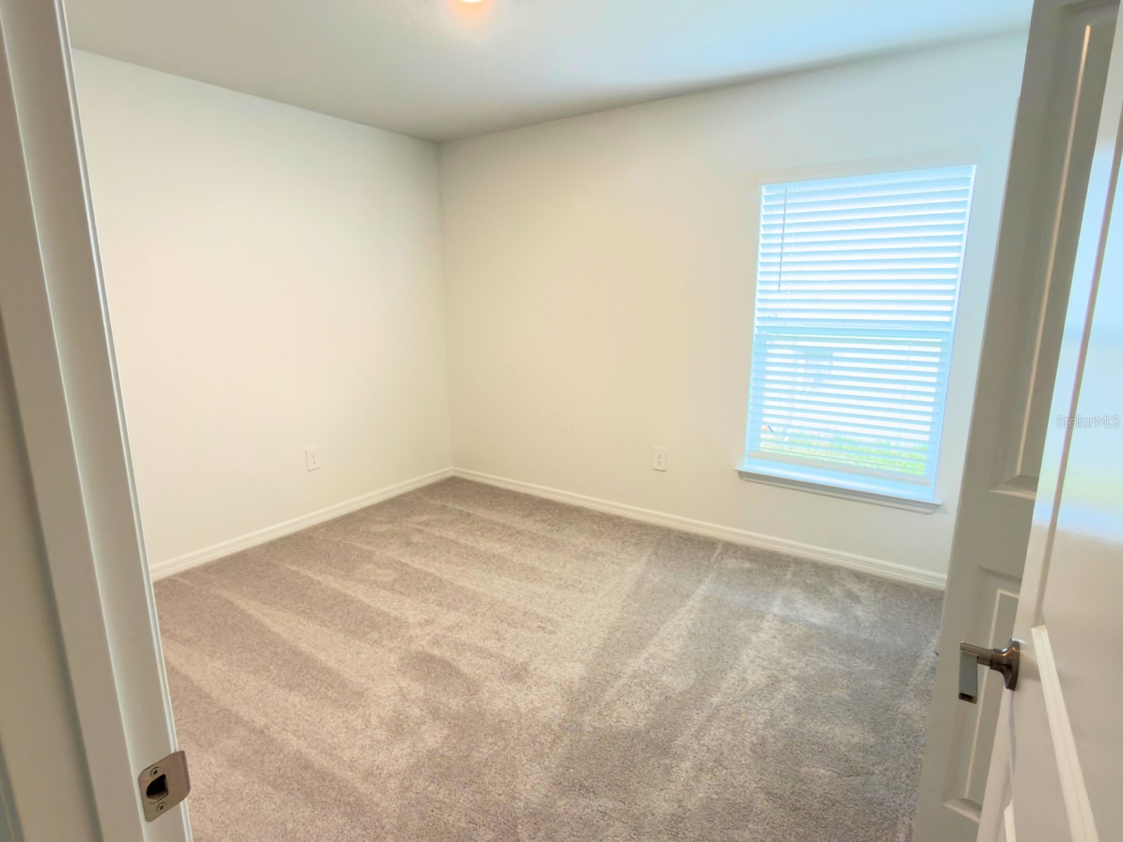 2318 Allium Roseum Lane Plant City FL 33565 TB8480143 image26