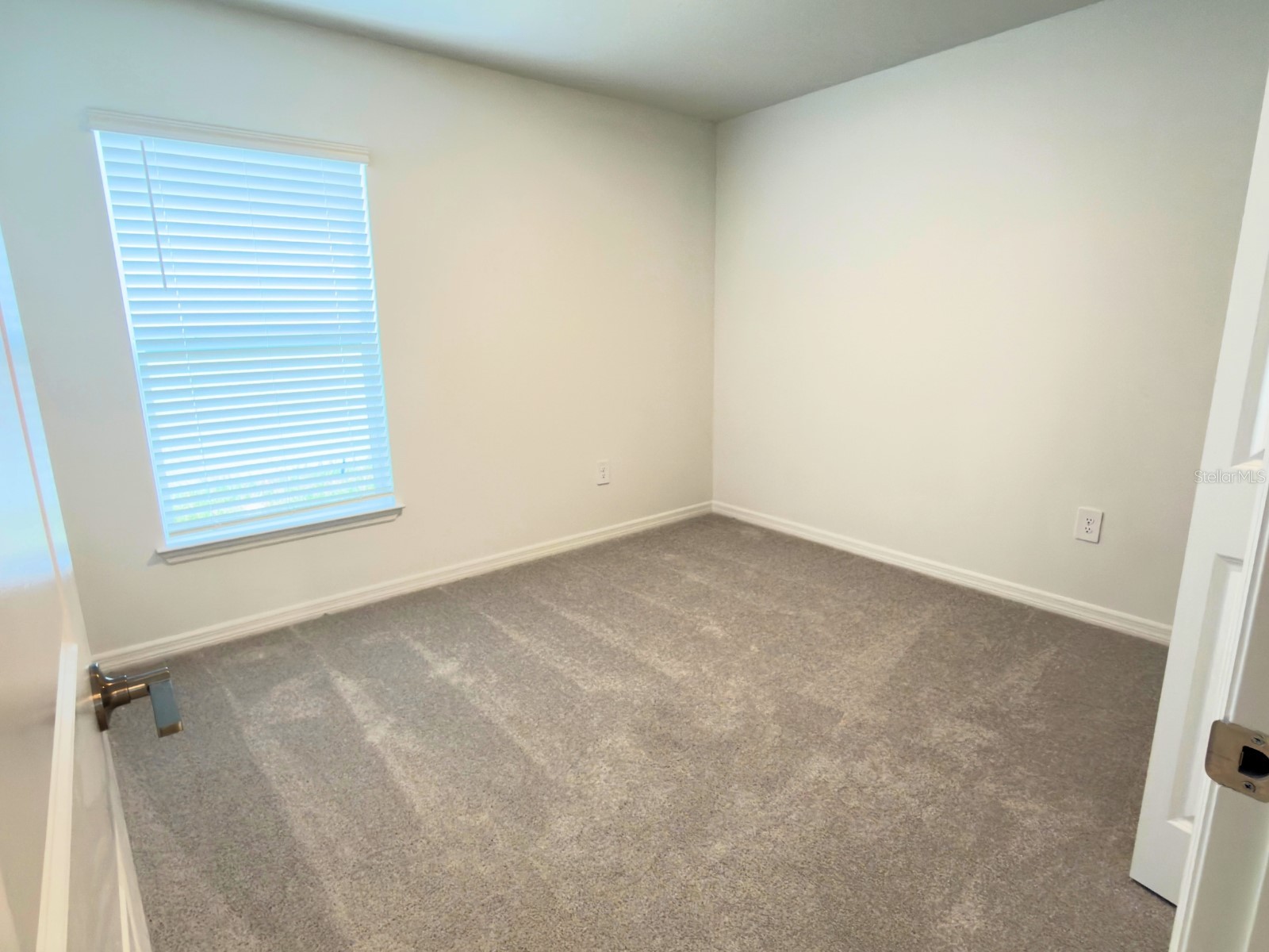 2318 Allium Roseum Lane Plant City FL 33565 TB8480143 image27