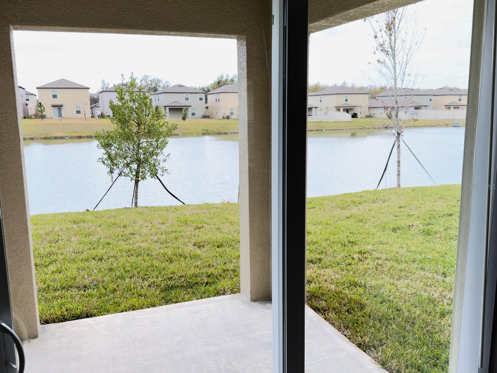 2318 Allium Roseum Lane Plant City FL 33565 TB8480143 image28