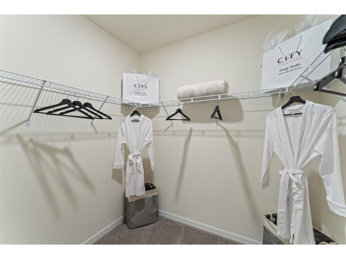 2318 Ashwood Bluff Drive Ocoee FL 34761 O6367810 image22