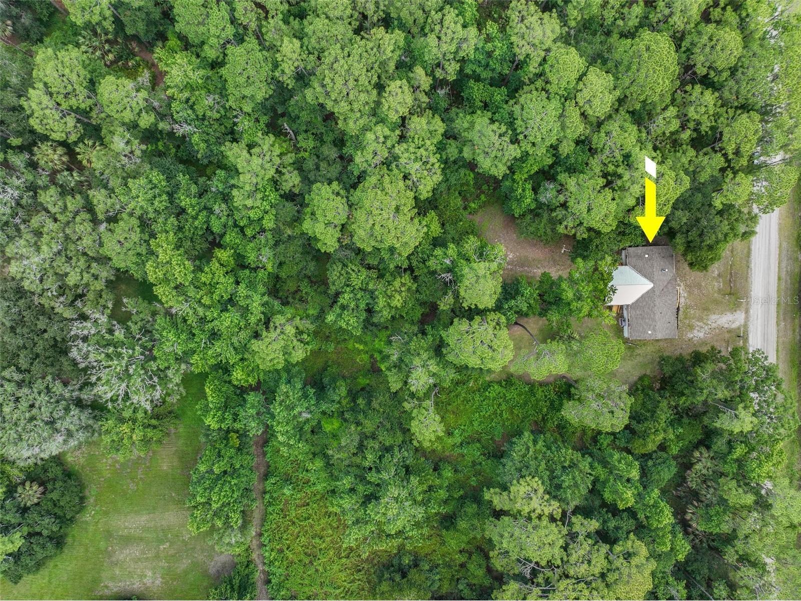 2318 Coconut Boulevard Bunnell FL 32110 FC319711 image51