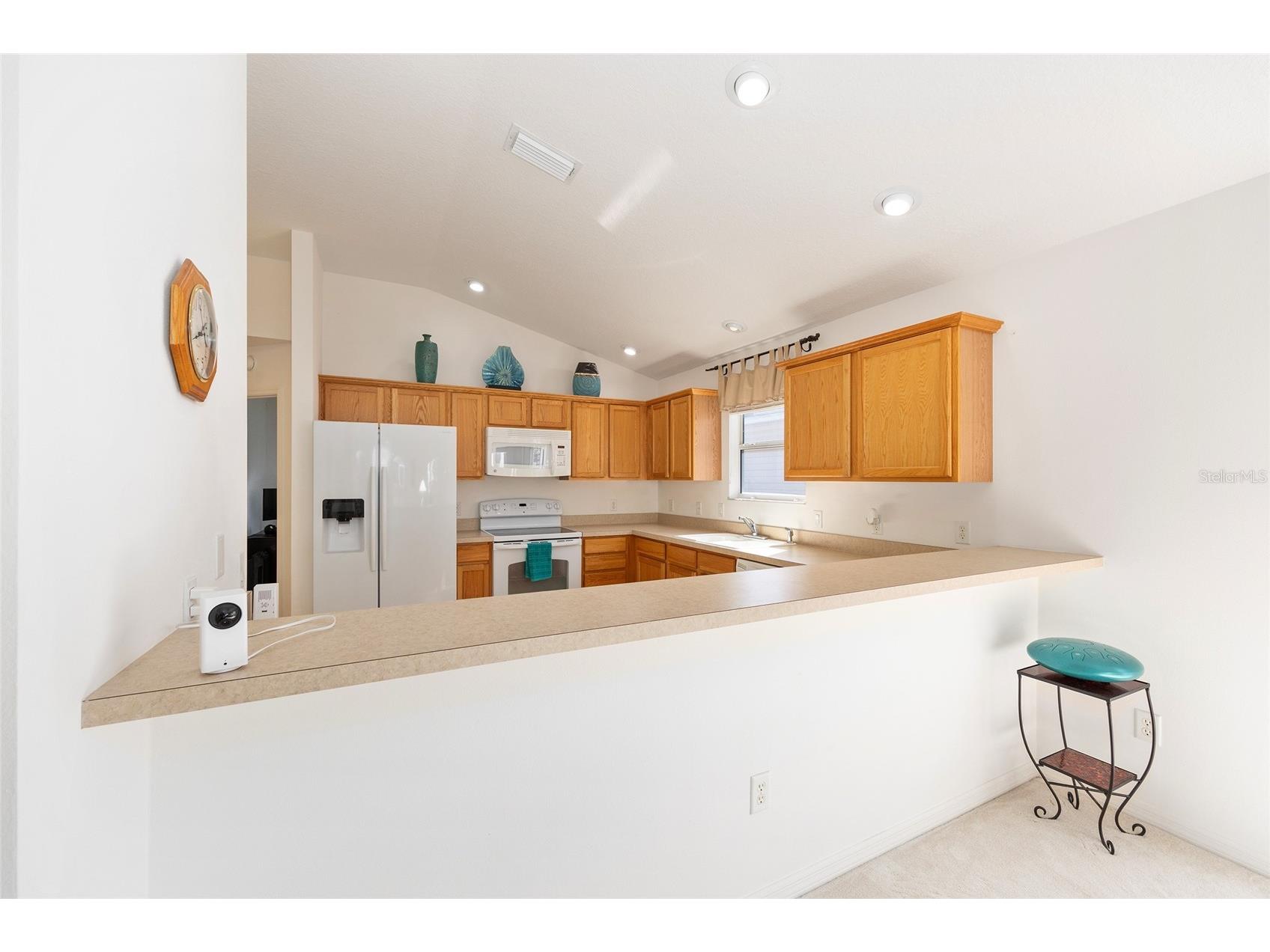 2318 Nehaul Terrace The Villages FL 32162 G5108017 image13