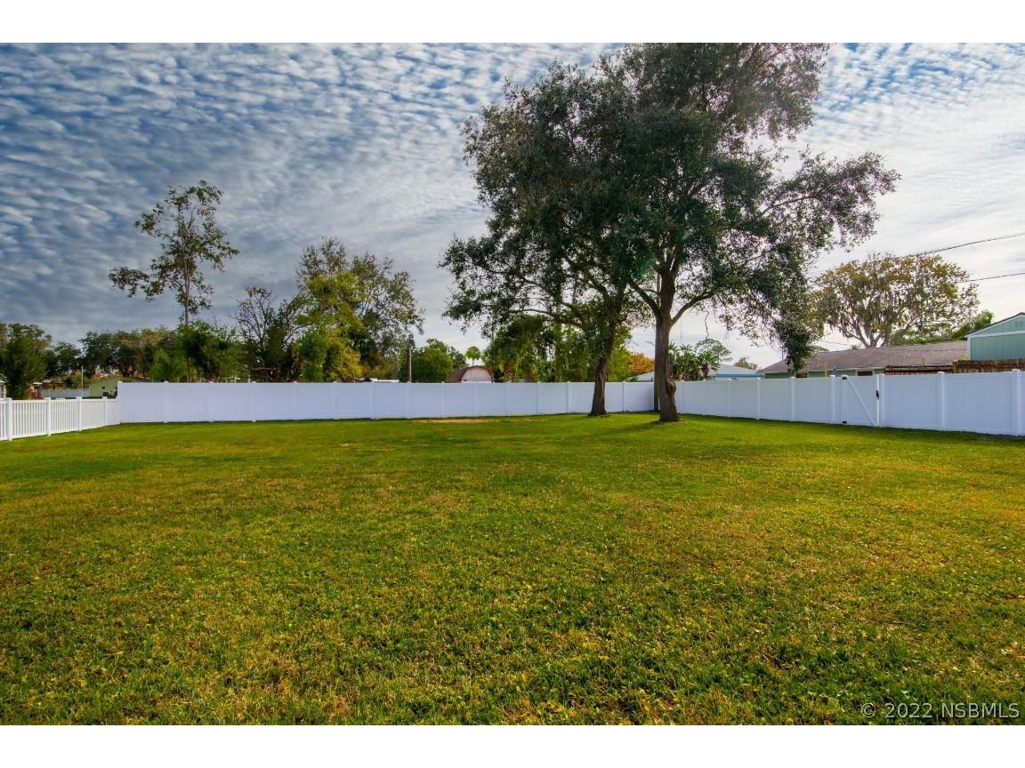 2318 Victory Palm Drive Edgewater FL 32141 NS1067406 image1