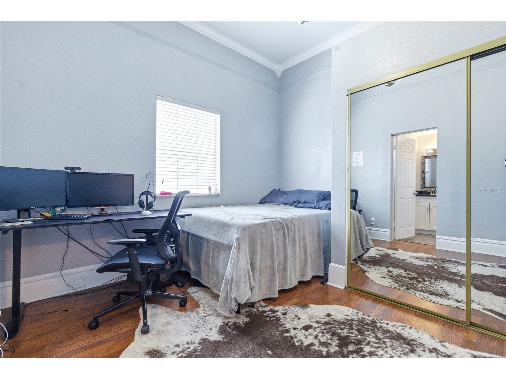 2318 W Cordelia Street Tampa FL 33607 TB8498353 image14