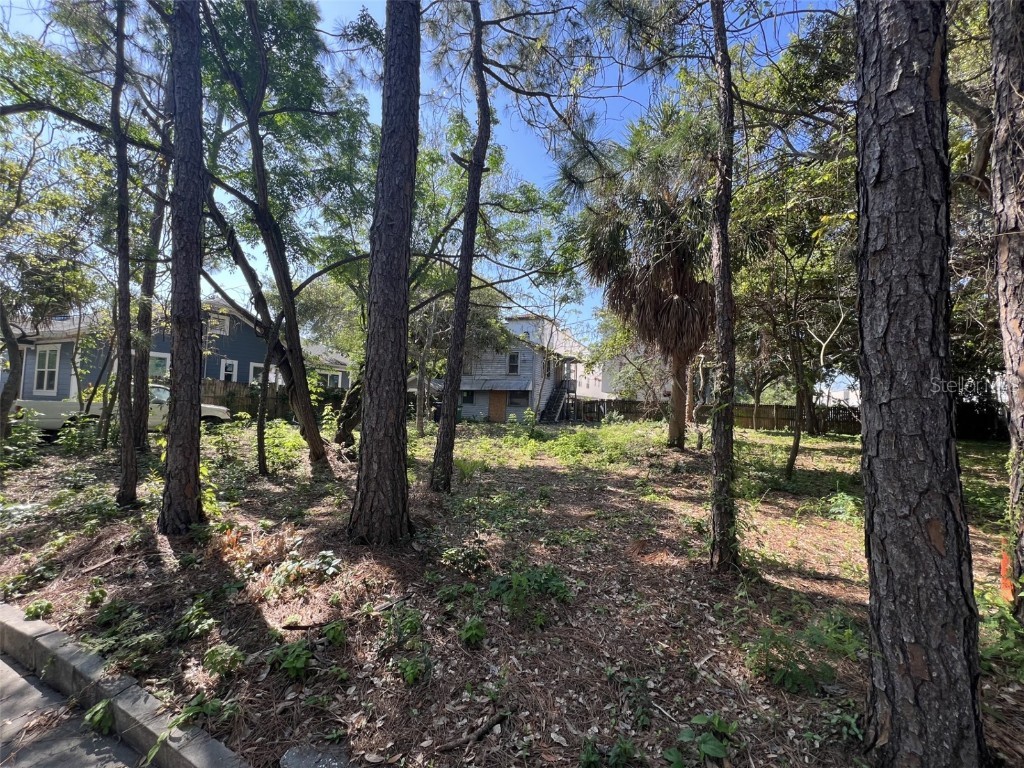 2318 W North B Street Tampa FL 33609 A4624767 image1