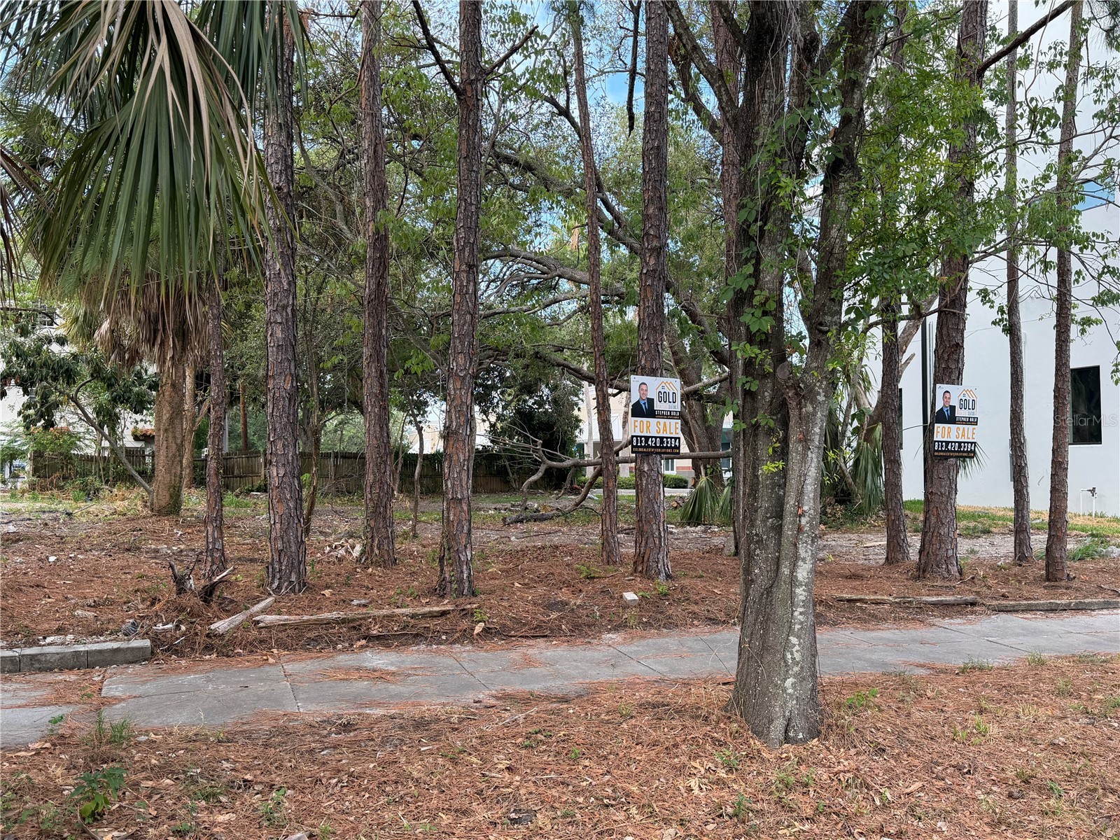 2318 W North B Street Tampa FL 33609 TB8462947 image1