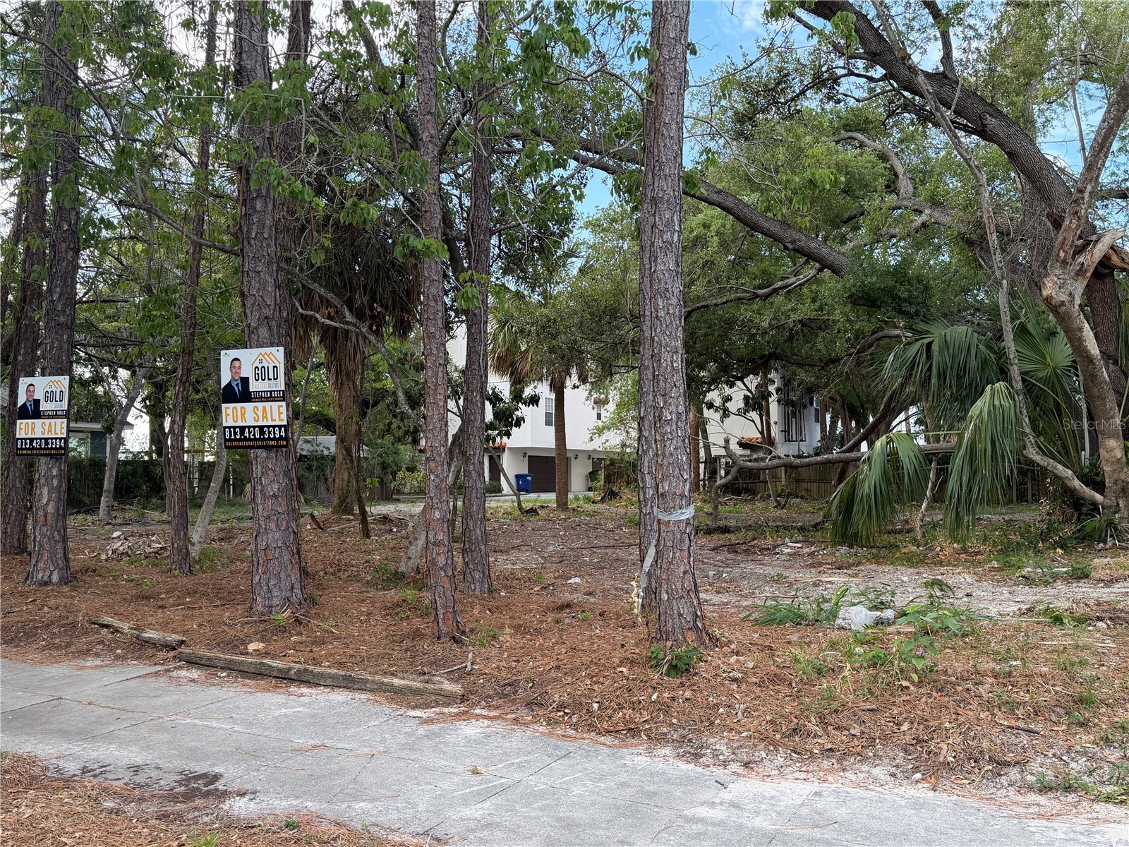 2318 W North B Street Tampa FL 33609 TB8462947 image3