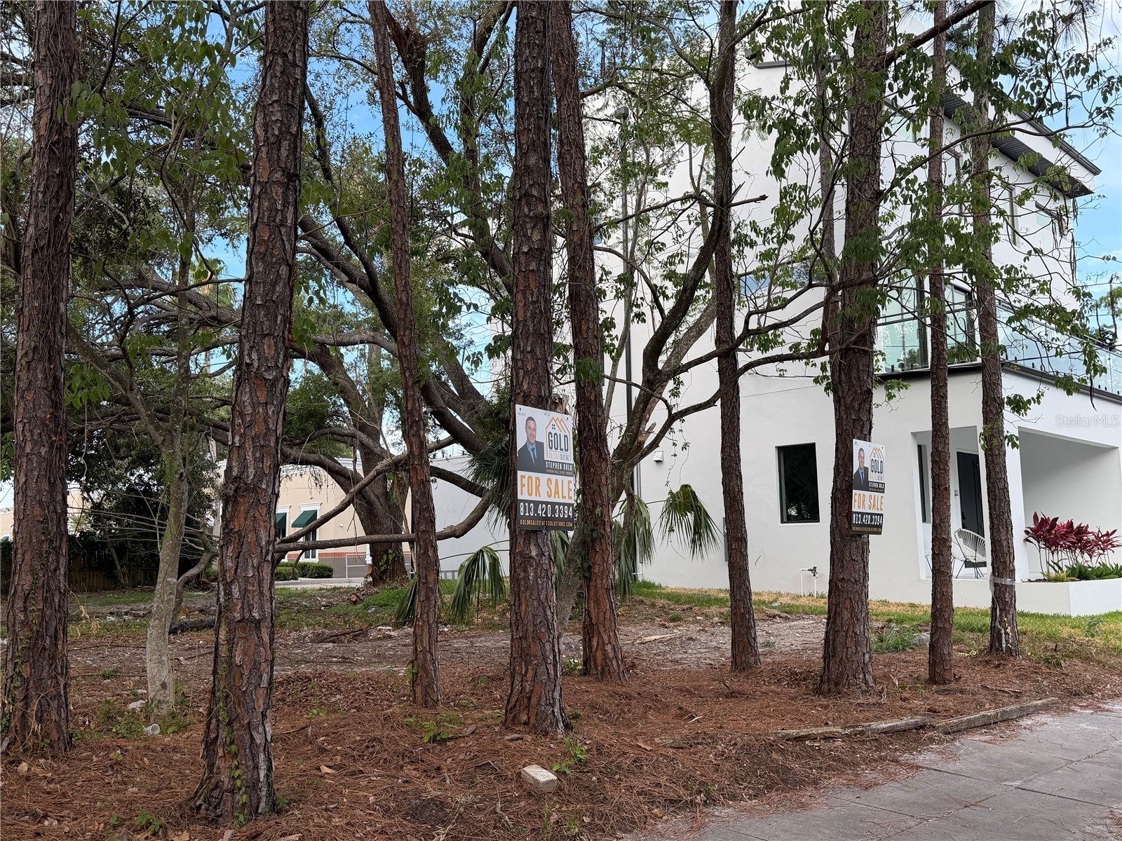 2318 W North B Street Tampa FL 33609 TB8462947 image5