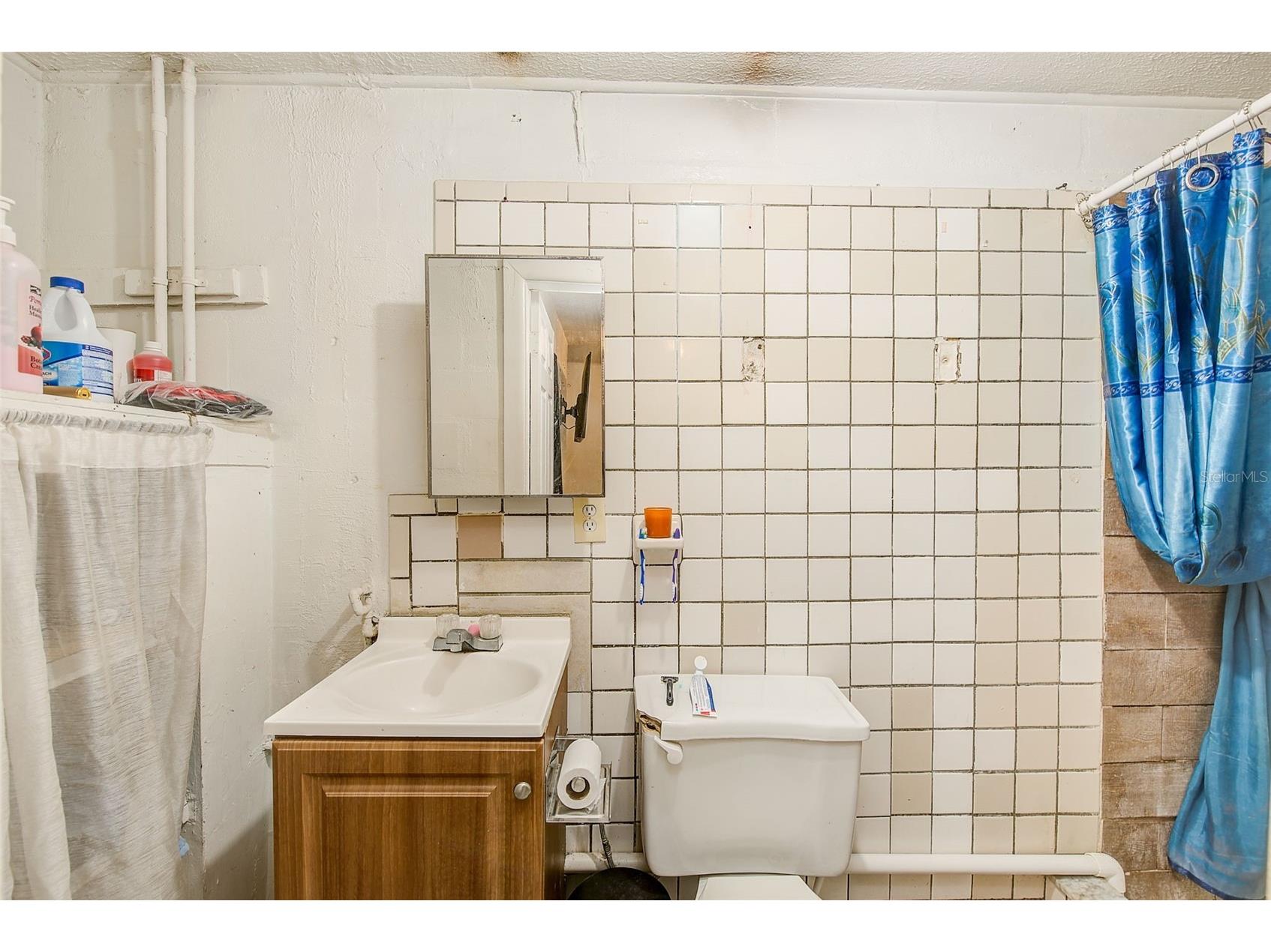 2318 W Powhatan Avenue Tampa FL 33603 TB8524344 image21