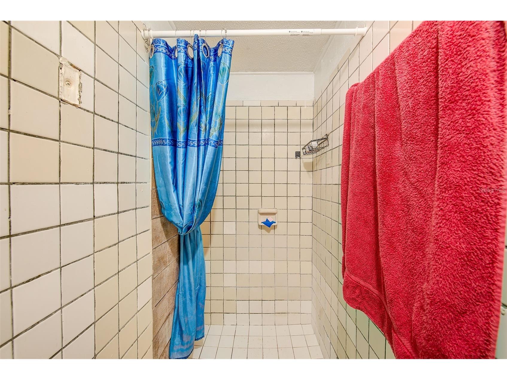 2318 W Powhatan Avenue Tampa FL 33603 TB8524344 image22