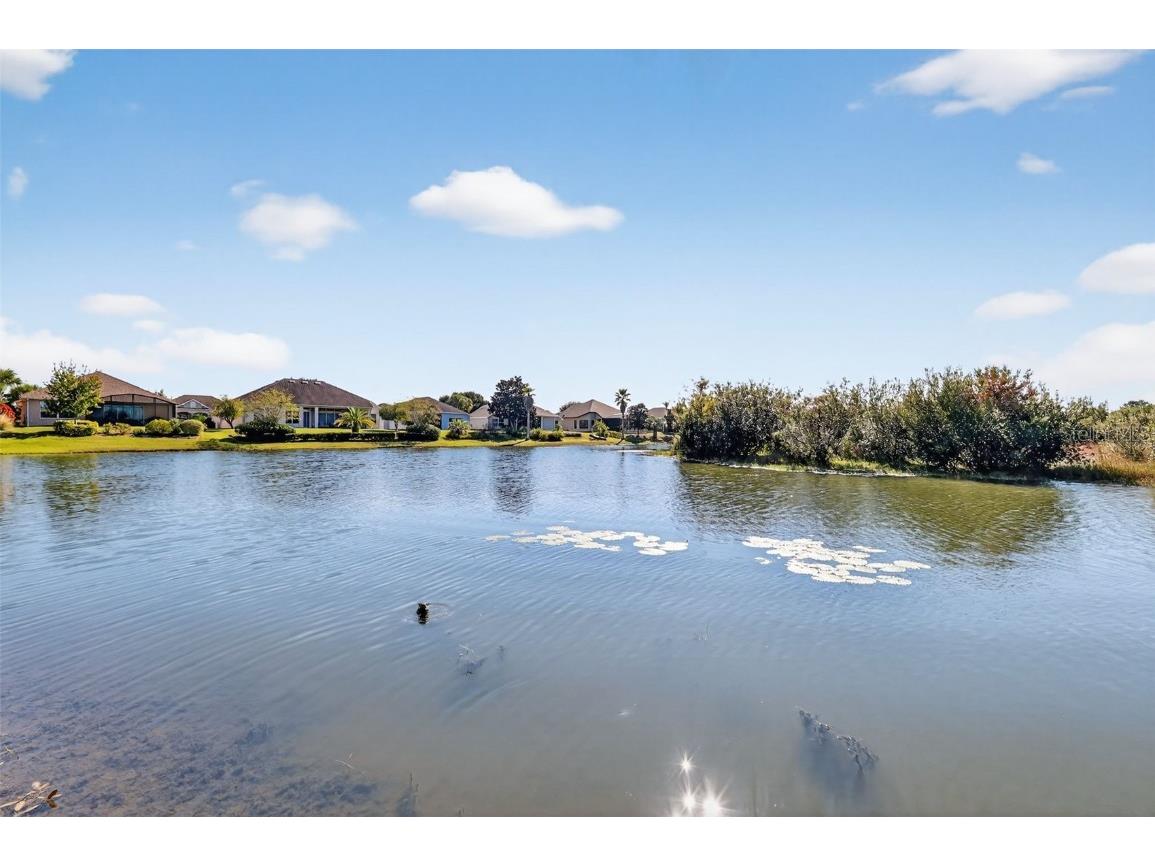 2318 Wakefield Way Mount Dora FL 32757 - LAKES OF MOUNT DORA G5105072 image31