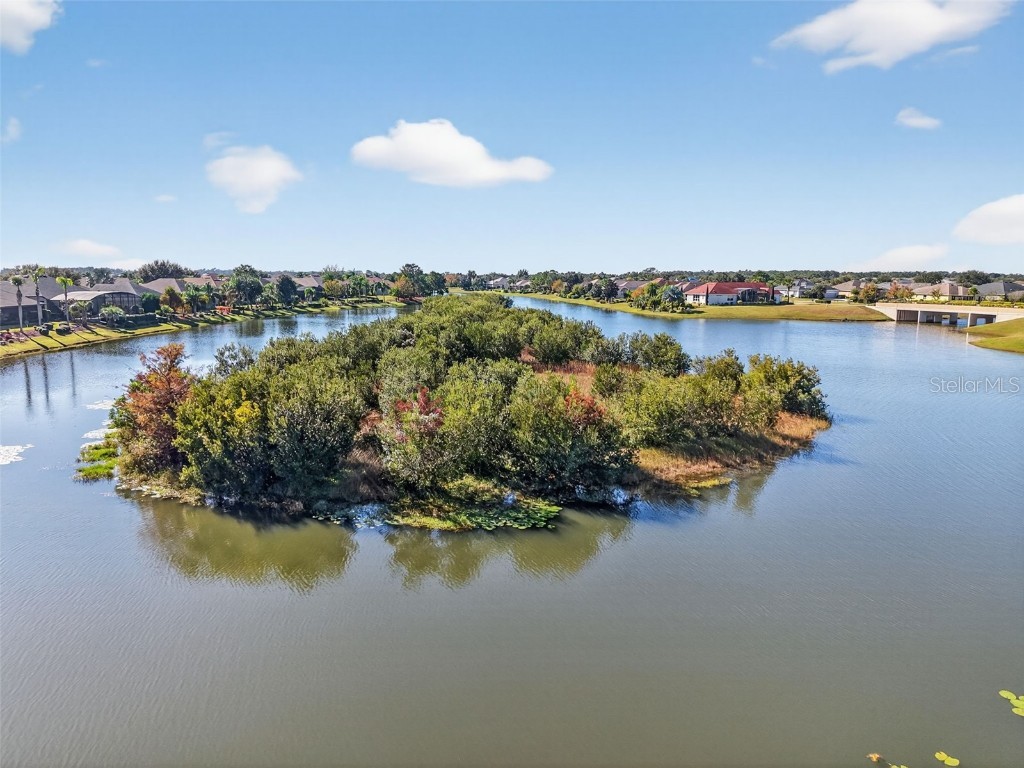 2318 Wakefield Way Mount Dora FL 32757 - LAKES OF MOUNT DORA G5105072 image32