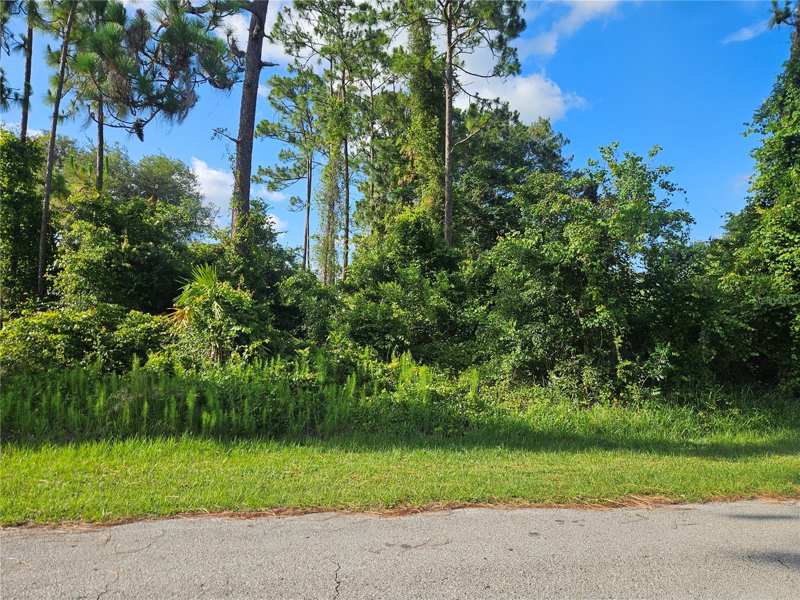 2318 Whitehorse Street Deltona FL 32738 V4949454 image1