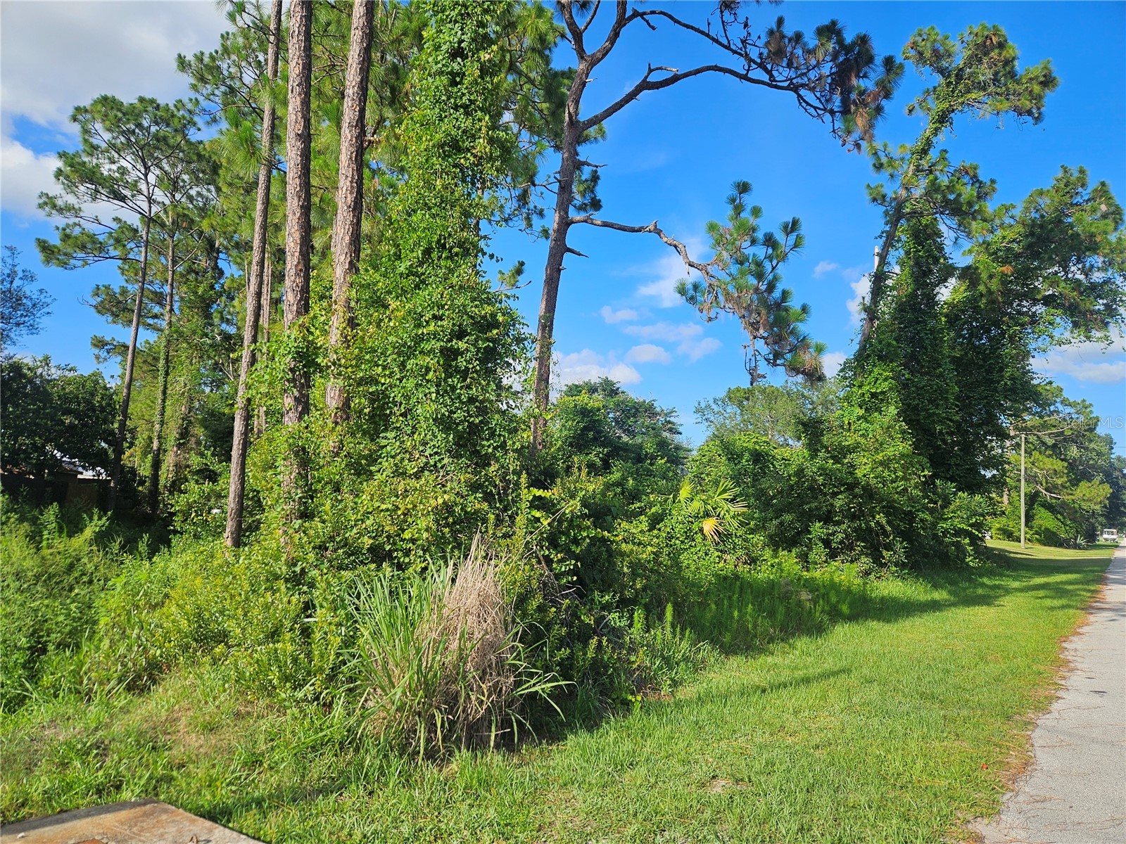 2318 Whitehorse Street Deltona FL 32738 V4949454 image2