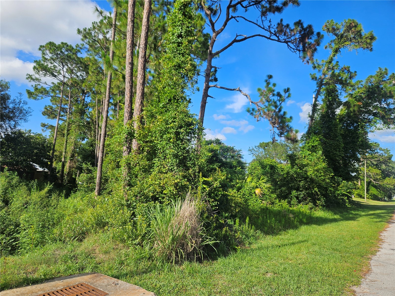 2318 Whitehorse Street Deltona FL 32738 V4949454 image3