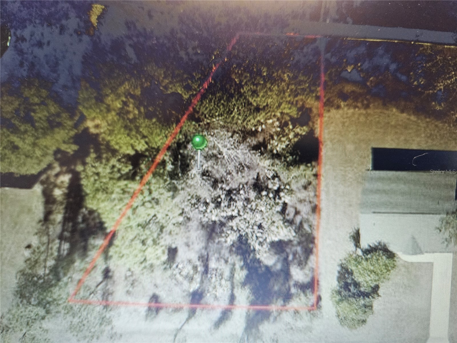 2318 Whitehorse Street Deltona FL 32738 V4949454 image4