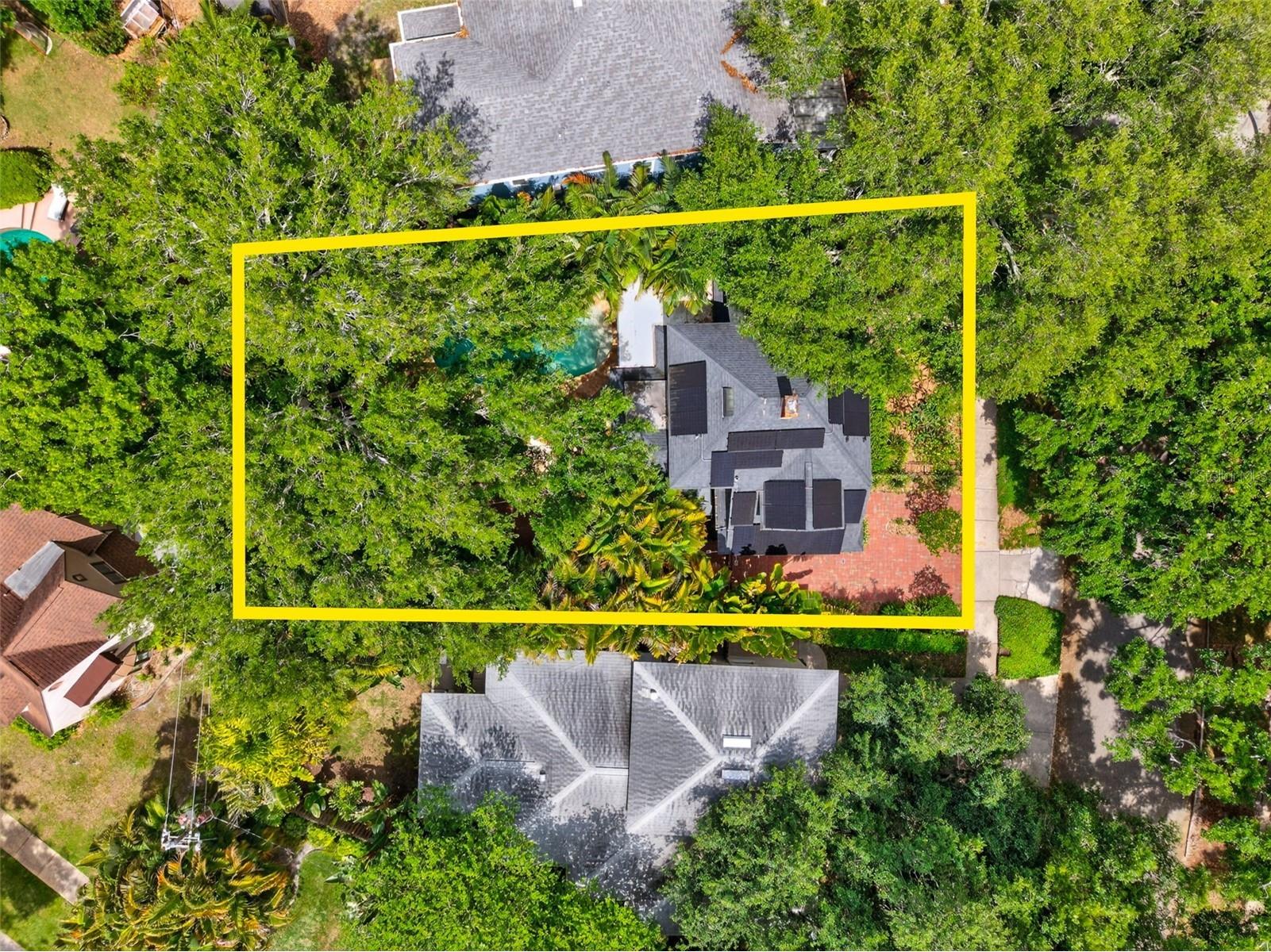 2318 Woodlawn Circle E Saint Petersburg FL 33704 TB8496168 image53