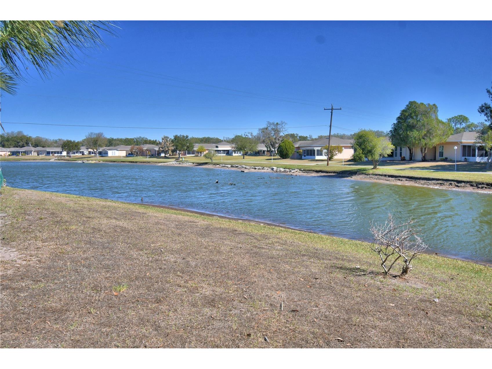 2319 Club Circle Lakeshore FL 33854 - LAKE WALK IN THE WATER P4937951 image47