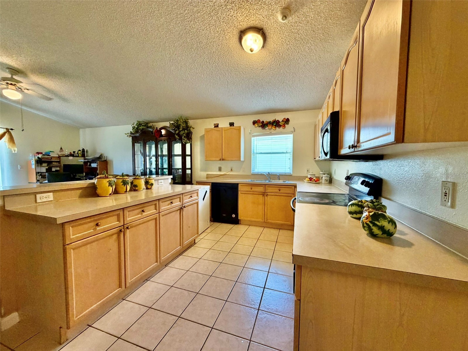 2319 Lily Pad Lane Kissimmee FL 34743 S5154140 image10
