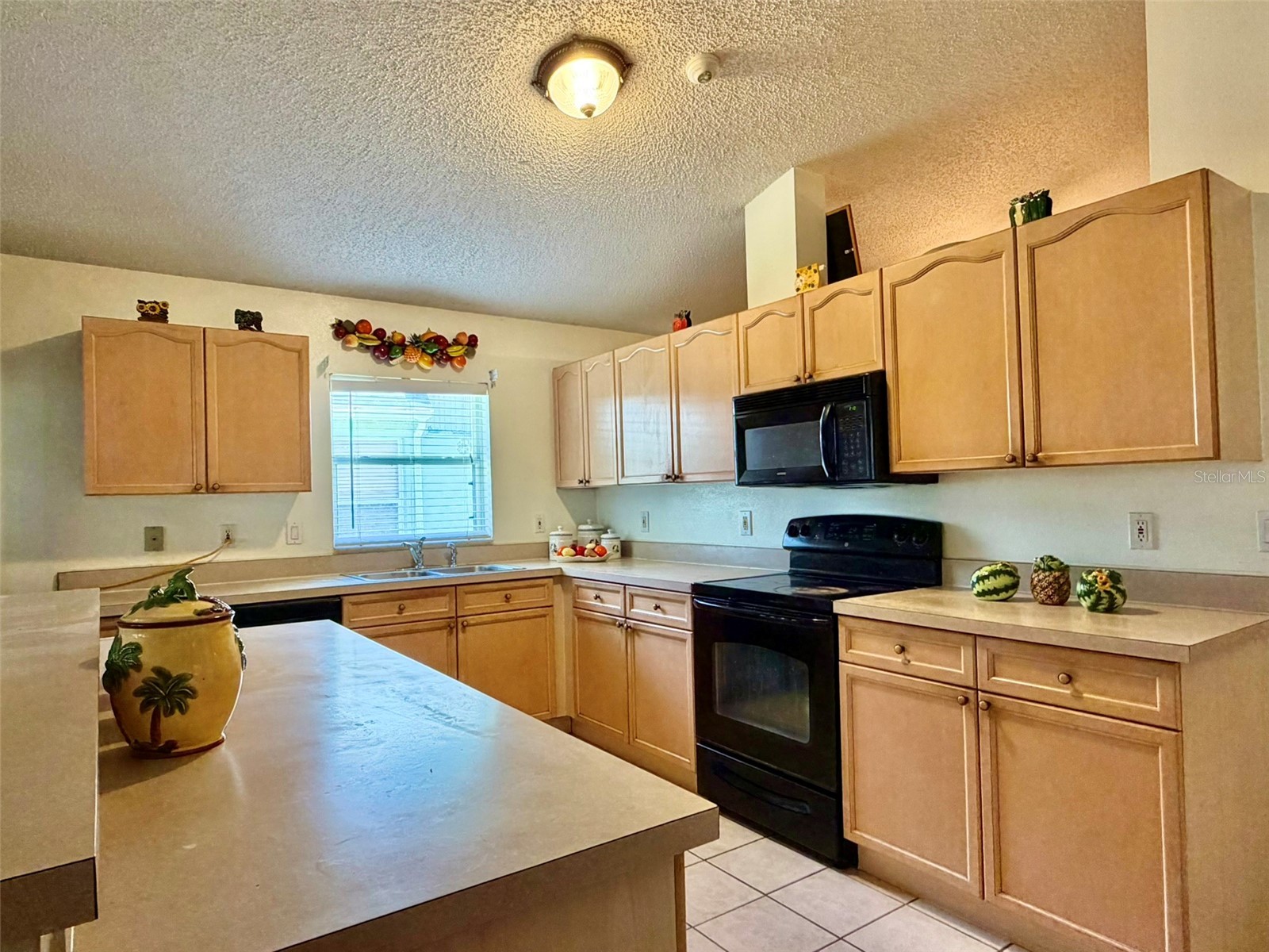 2319 Lily Pad Lane Kissimmee FL 34743 S5154140 image11