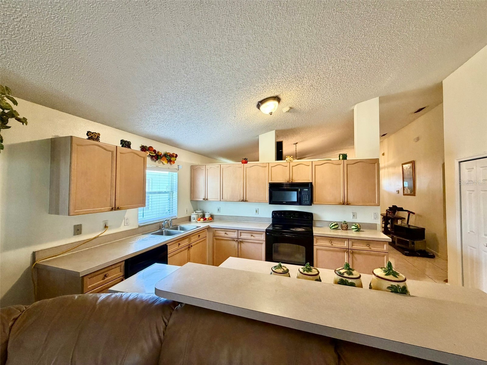 2319 Lily Pad Lane Kissimmee FL 34743 S5154140 image15