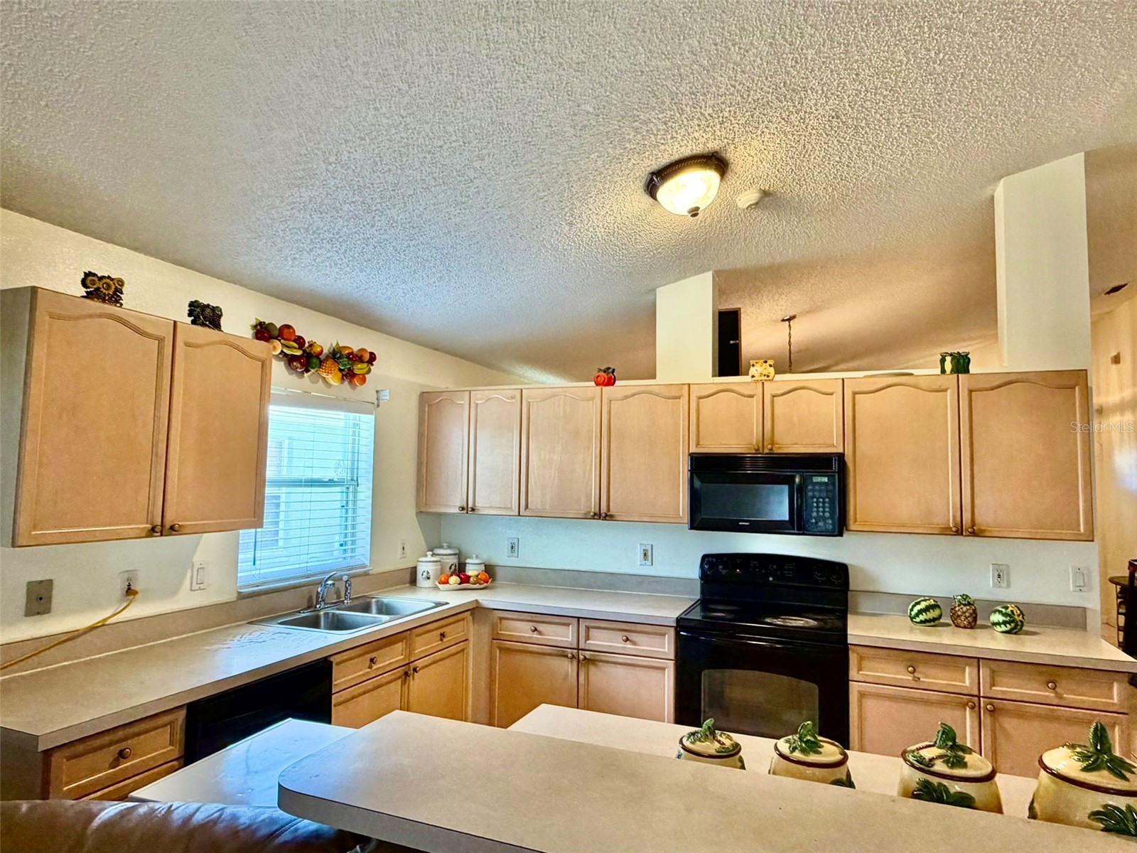 2319 Lily Pad Lane Kissimmee FL 34743 S5154140 image16