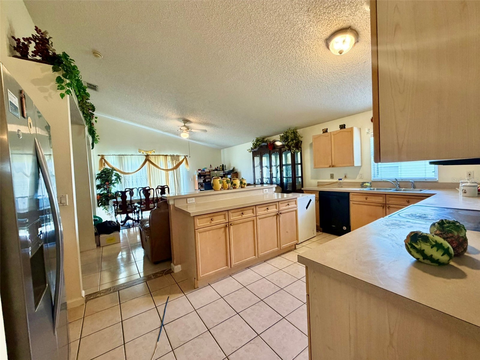 2319 Lily Pad Lane Kissimmee FL 34743 S5154140 image7