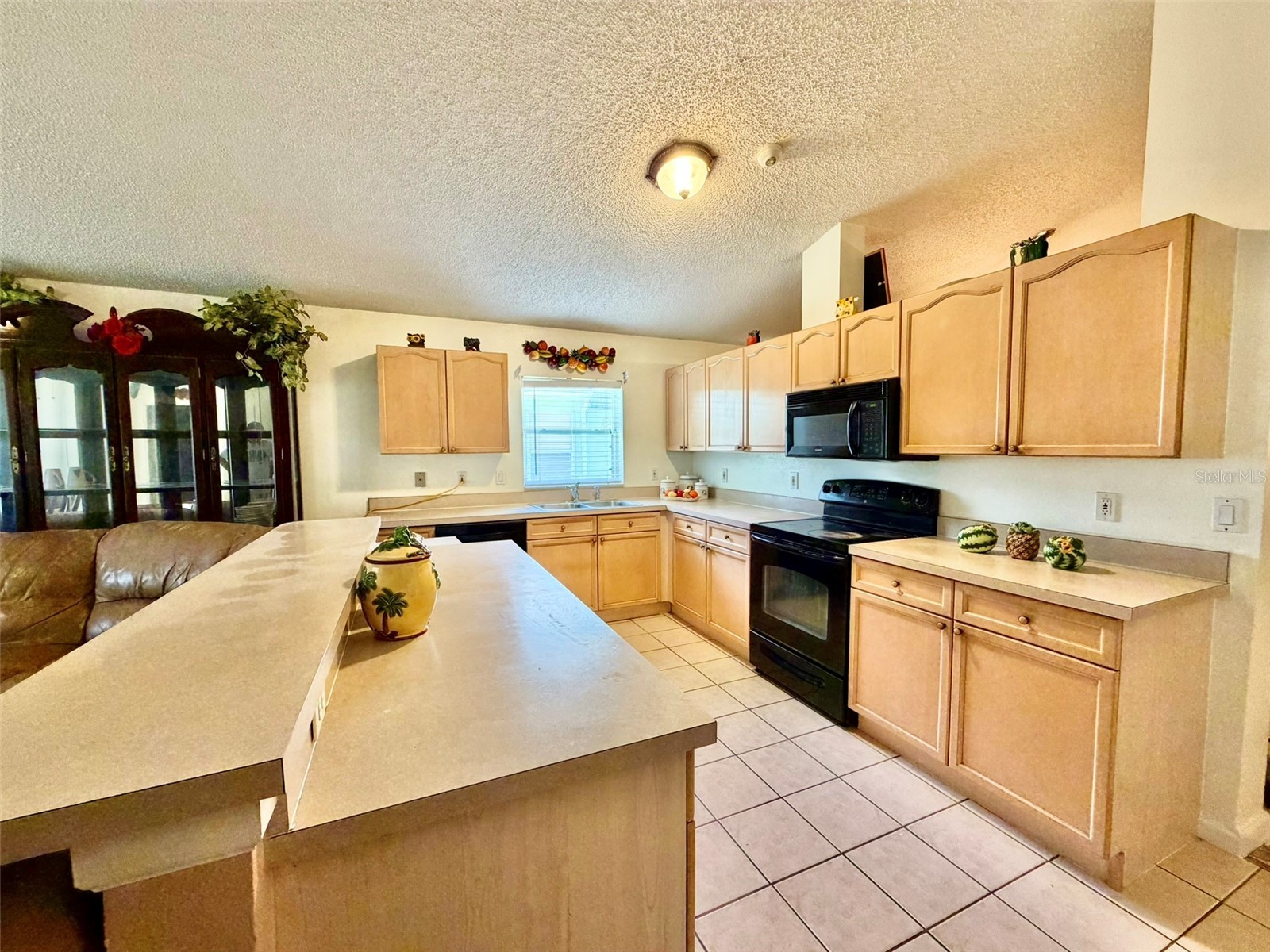 2319 Lily Pad Lane Kissimmee FL 34743 S5154140 image8