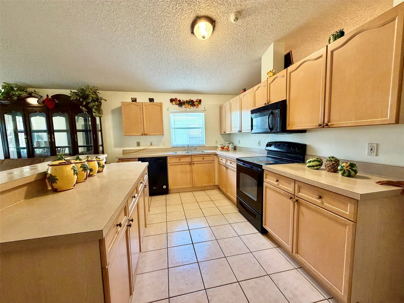 2319 Lily Pad Lane Kissimmee FL 34743 S5154140 image9