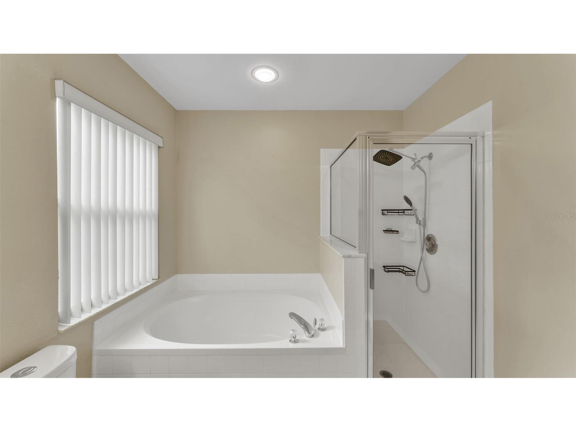 2319 Needham Drive Valrico FL 33596 TB8435648 image18