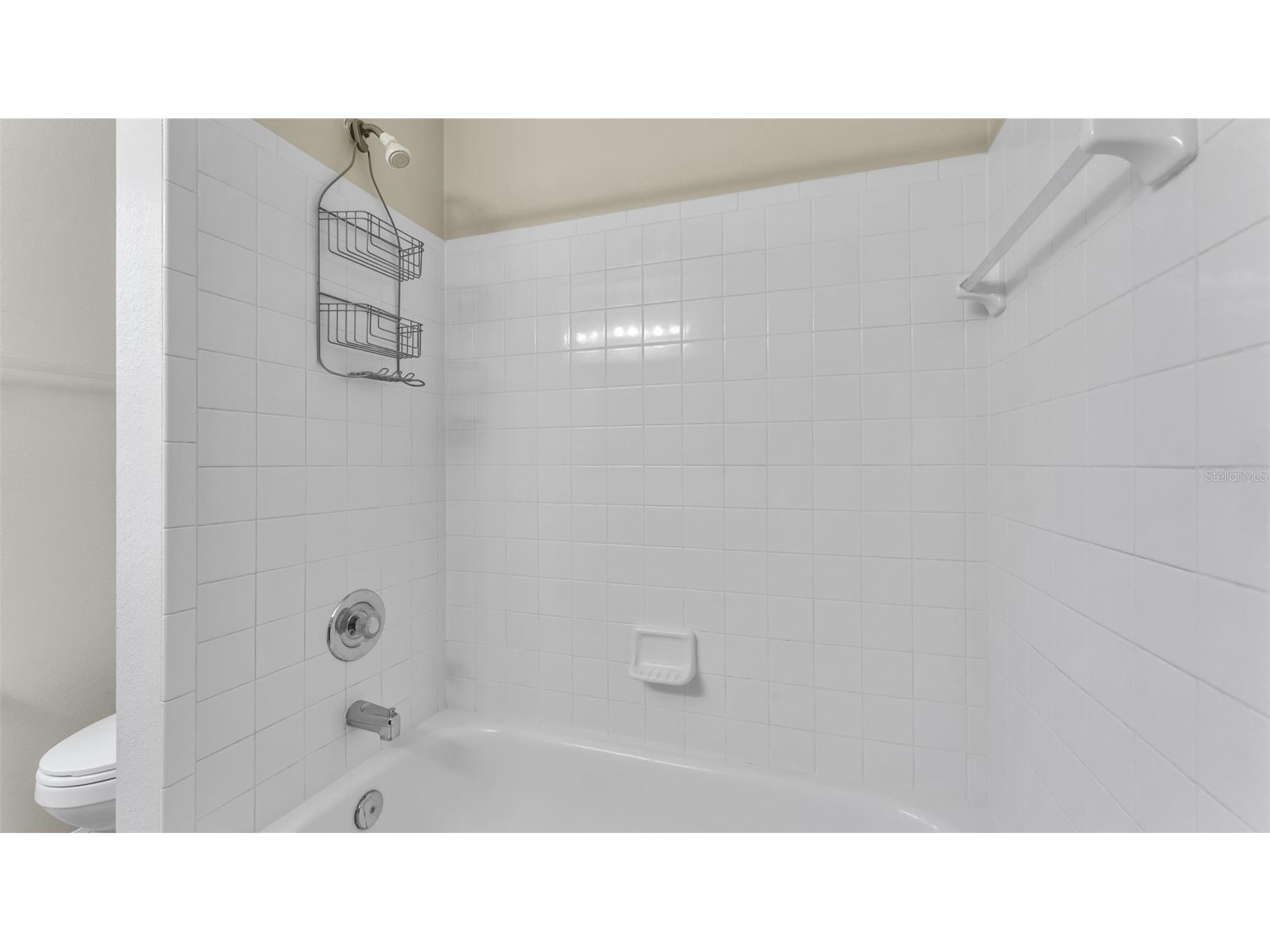 2319 Needham Drive Valrico FL 33596 TB8435648 image22