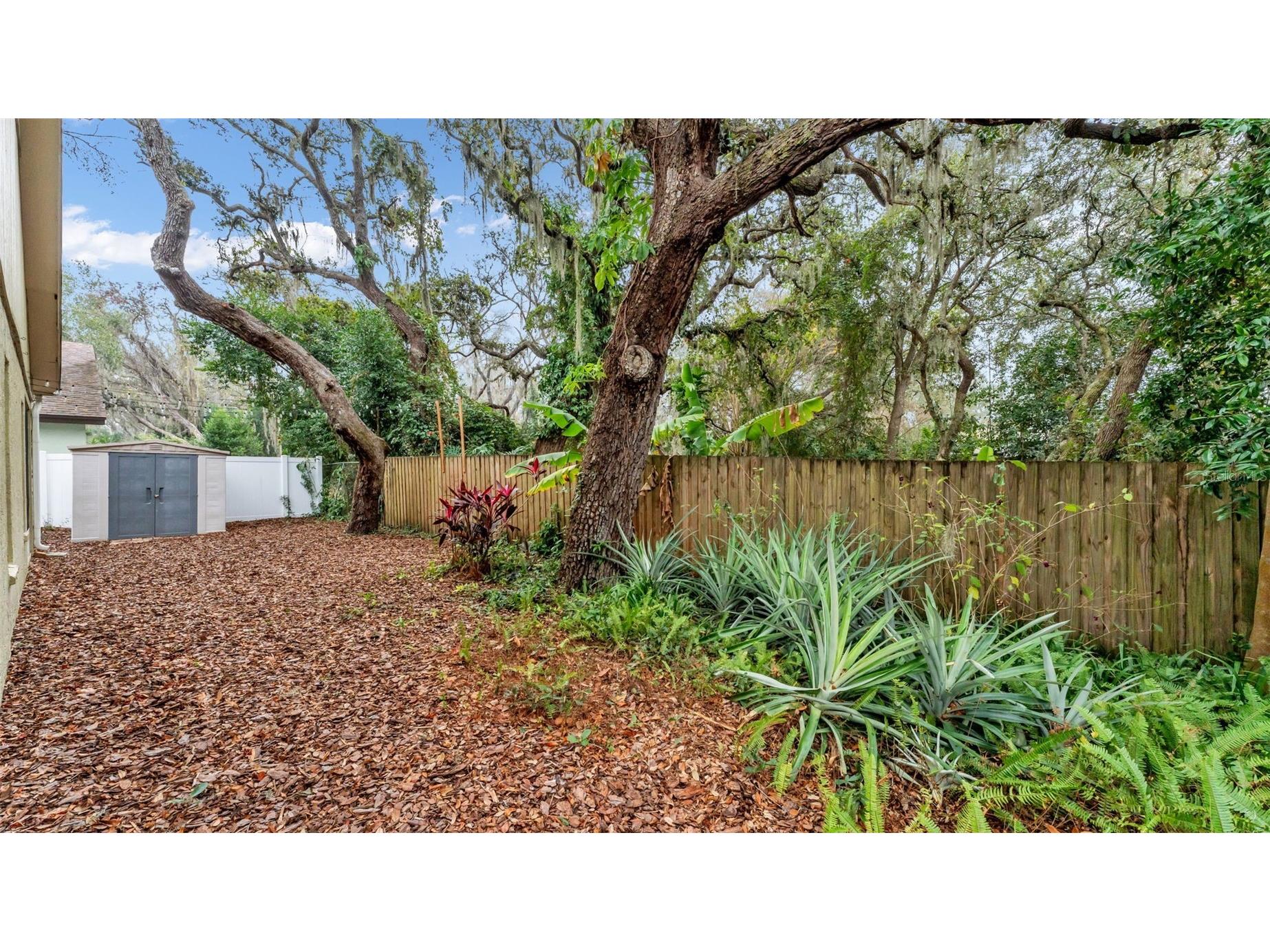 2319 Needham Drive Valrico FL 33596 TB8435648 image32