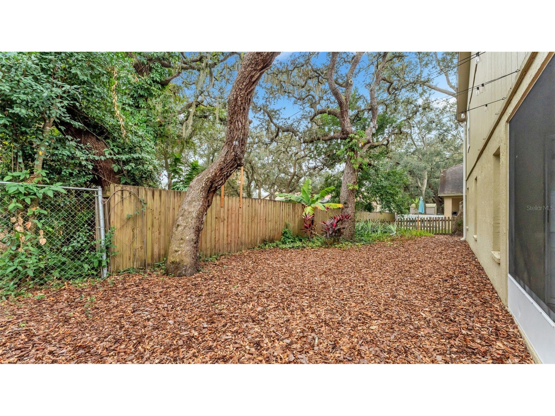 2319 Needham Drive Valrico FL 33596 TB8435648 image33